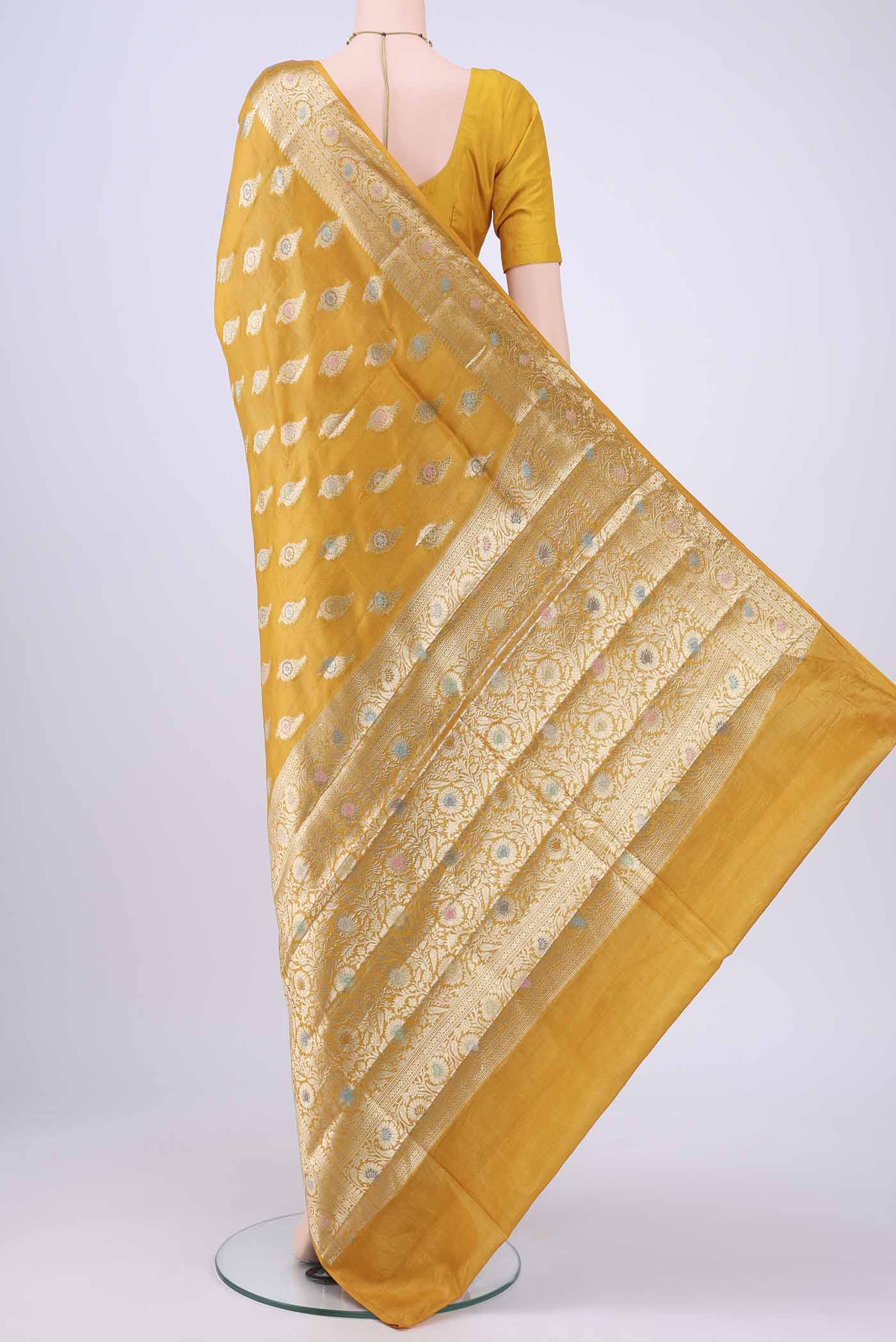 pallu body
