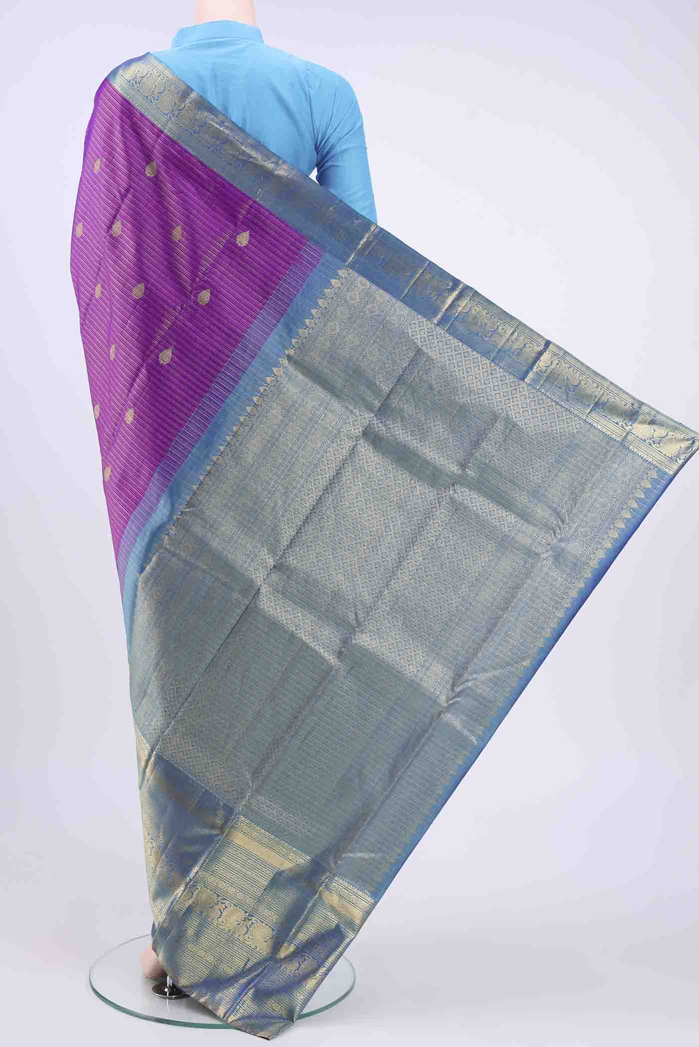 pallu body