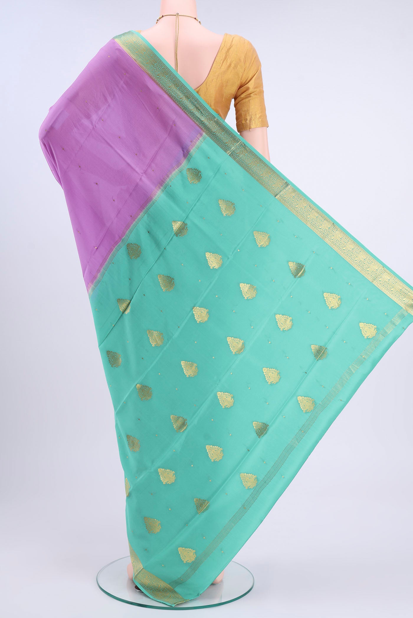 pallu body