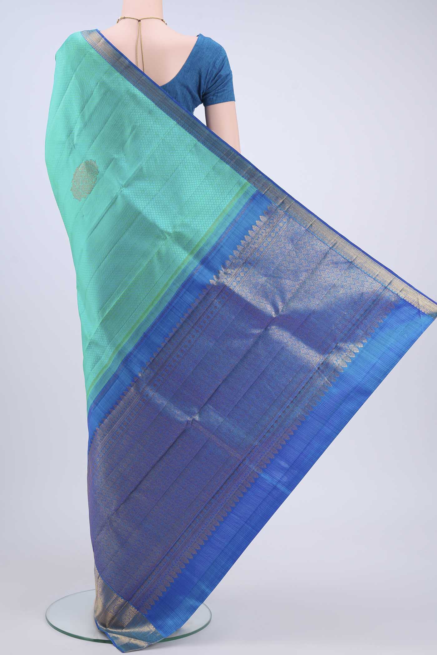 pallu body