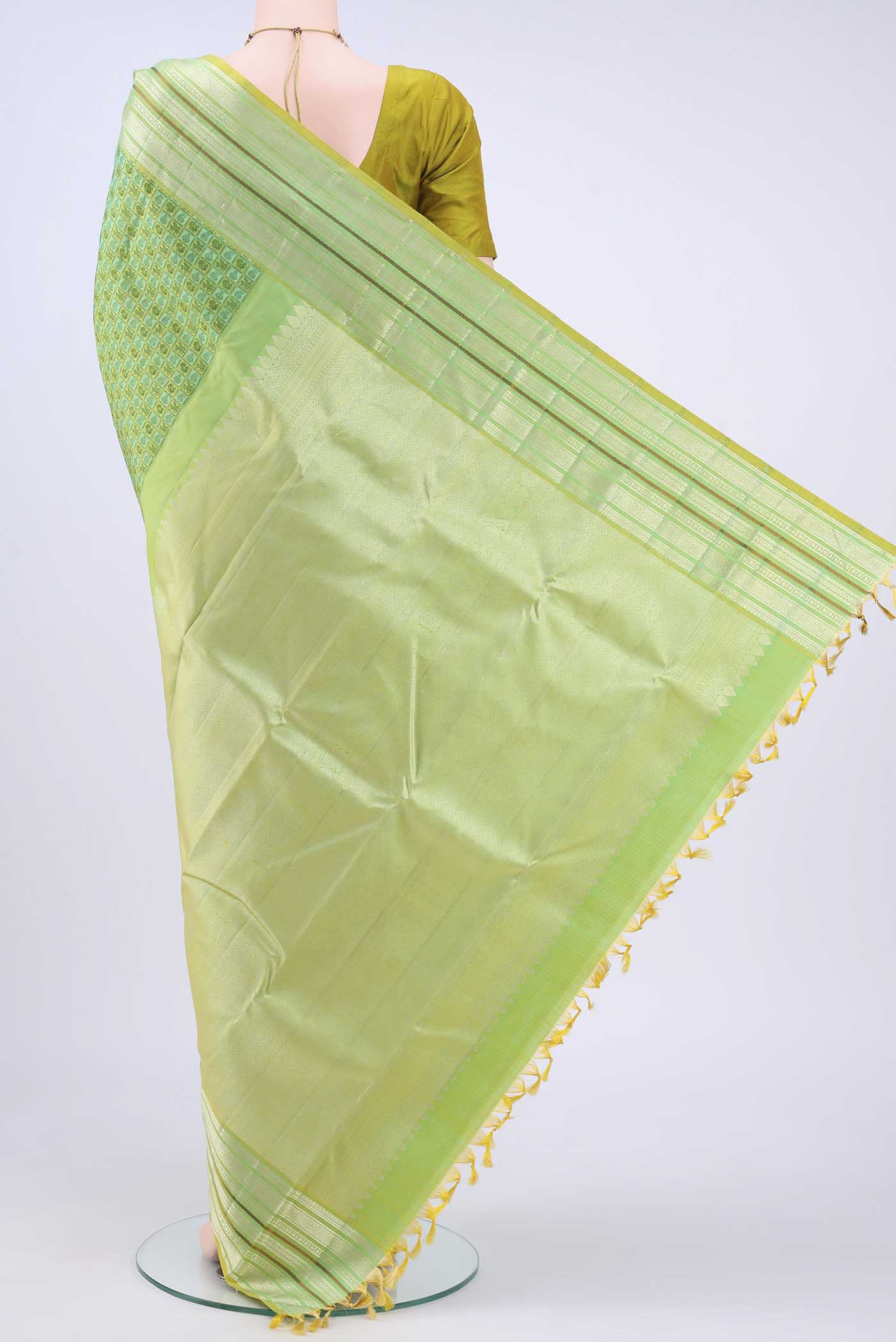 pallu body