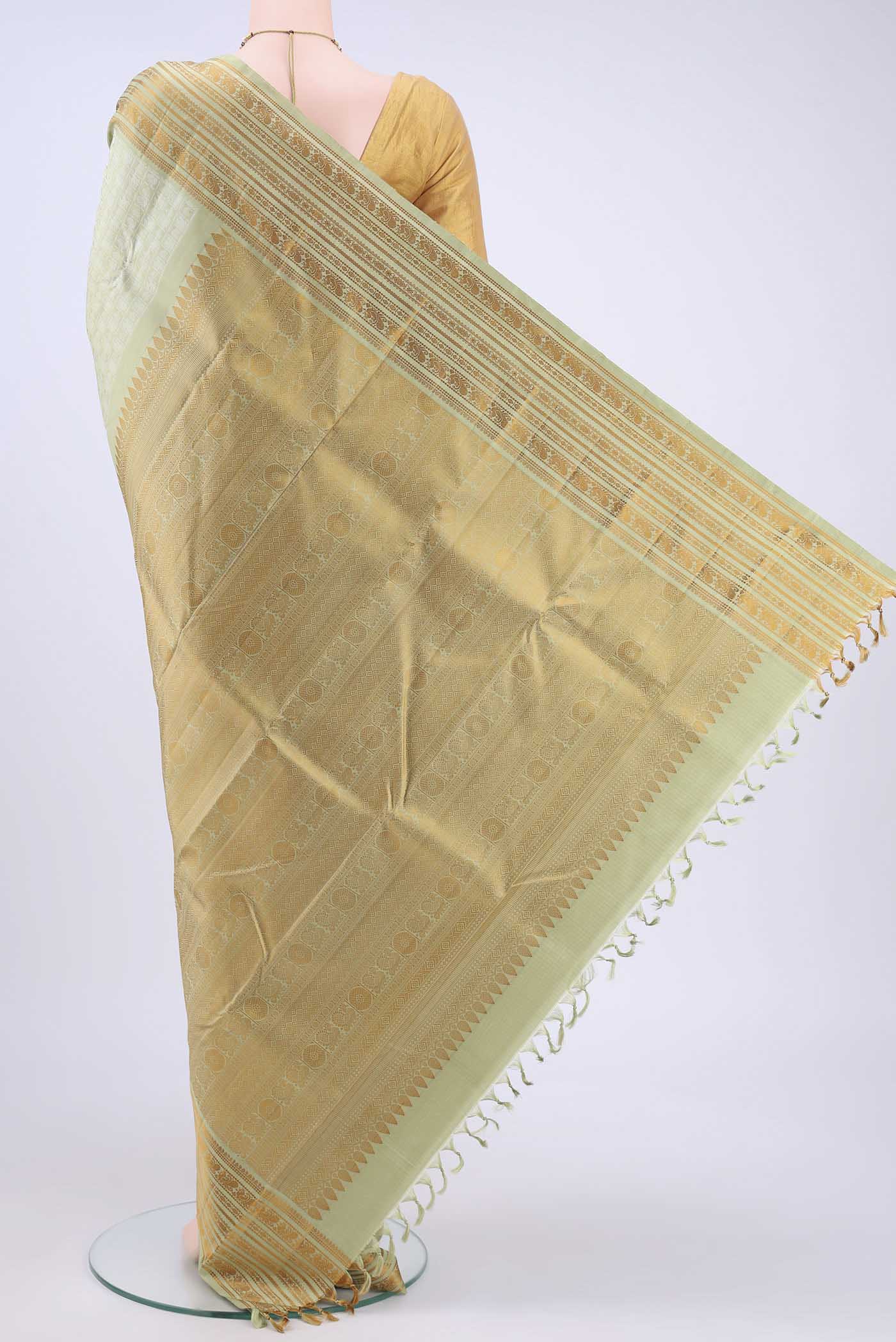 pallu body