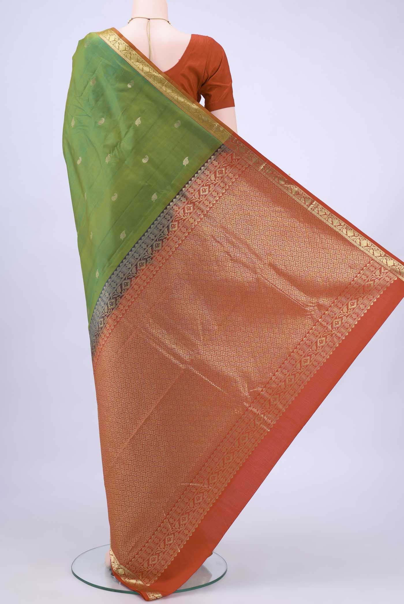 pallu body