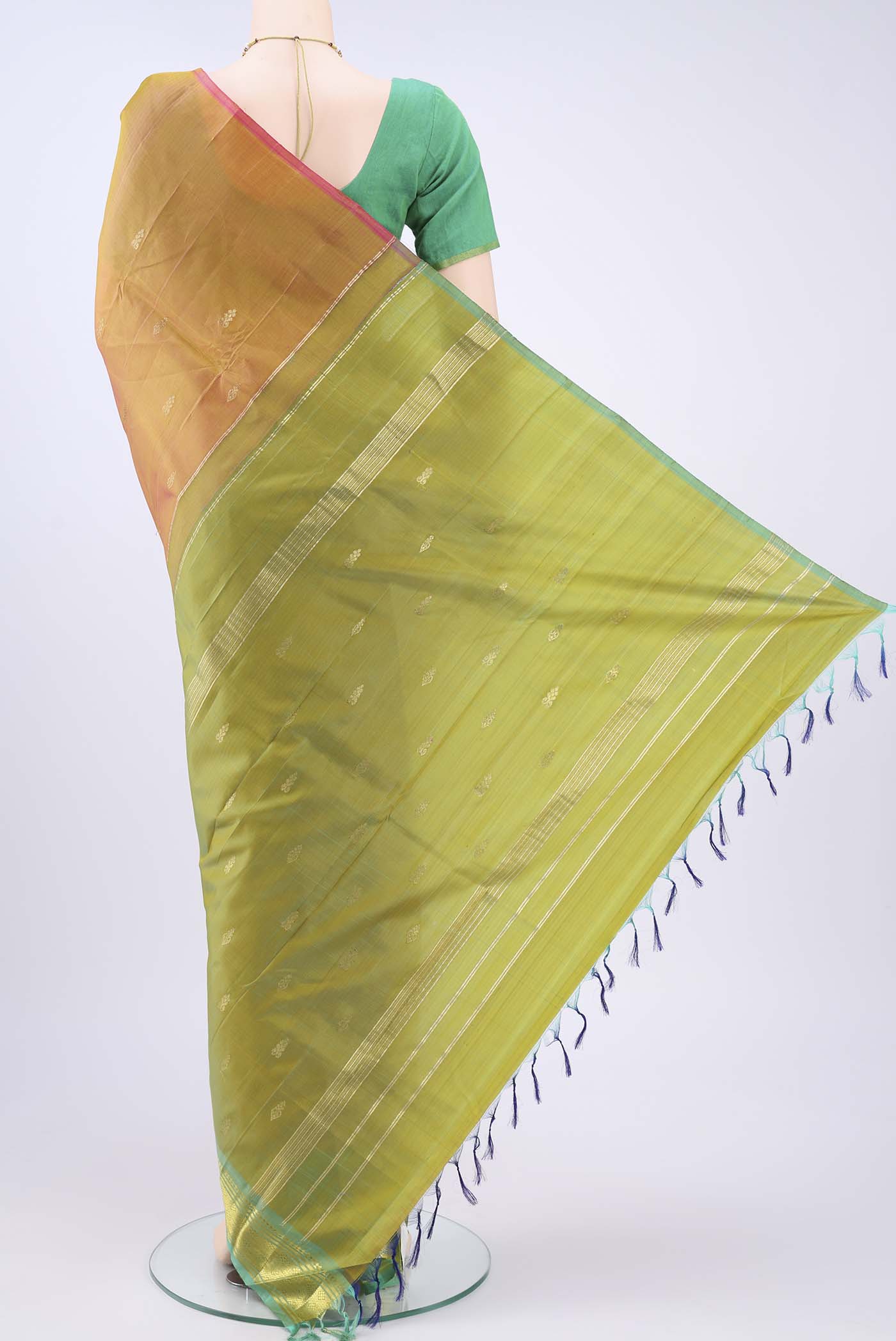 pallu body