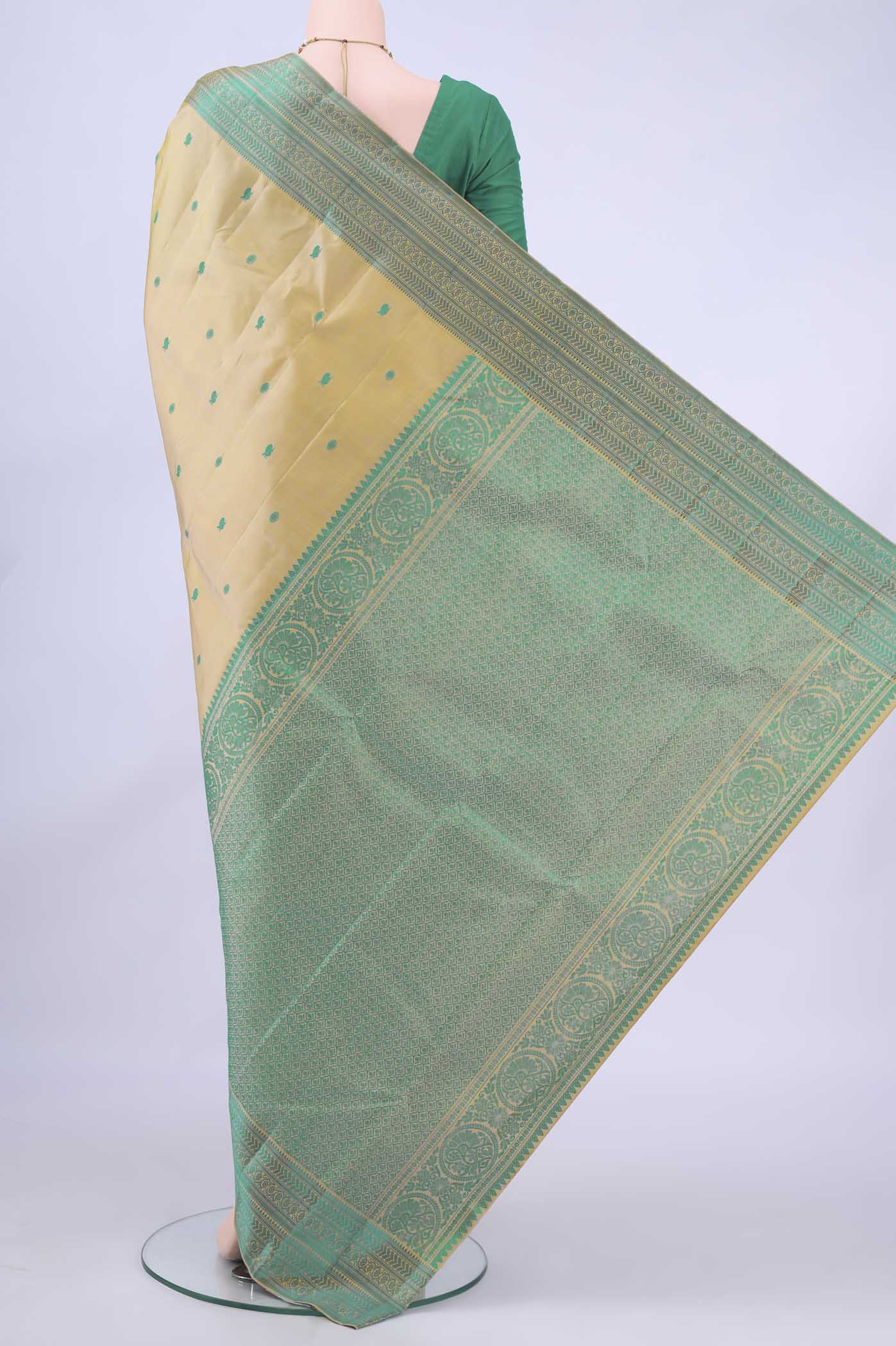 pallu body