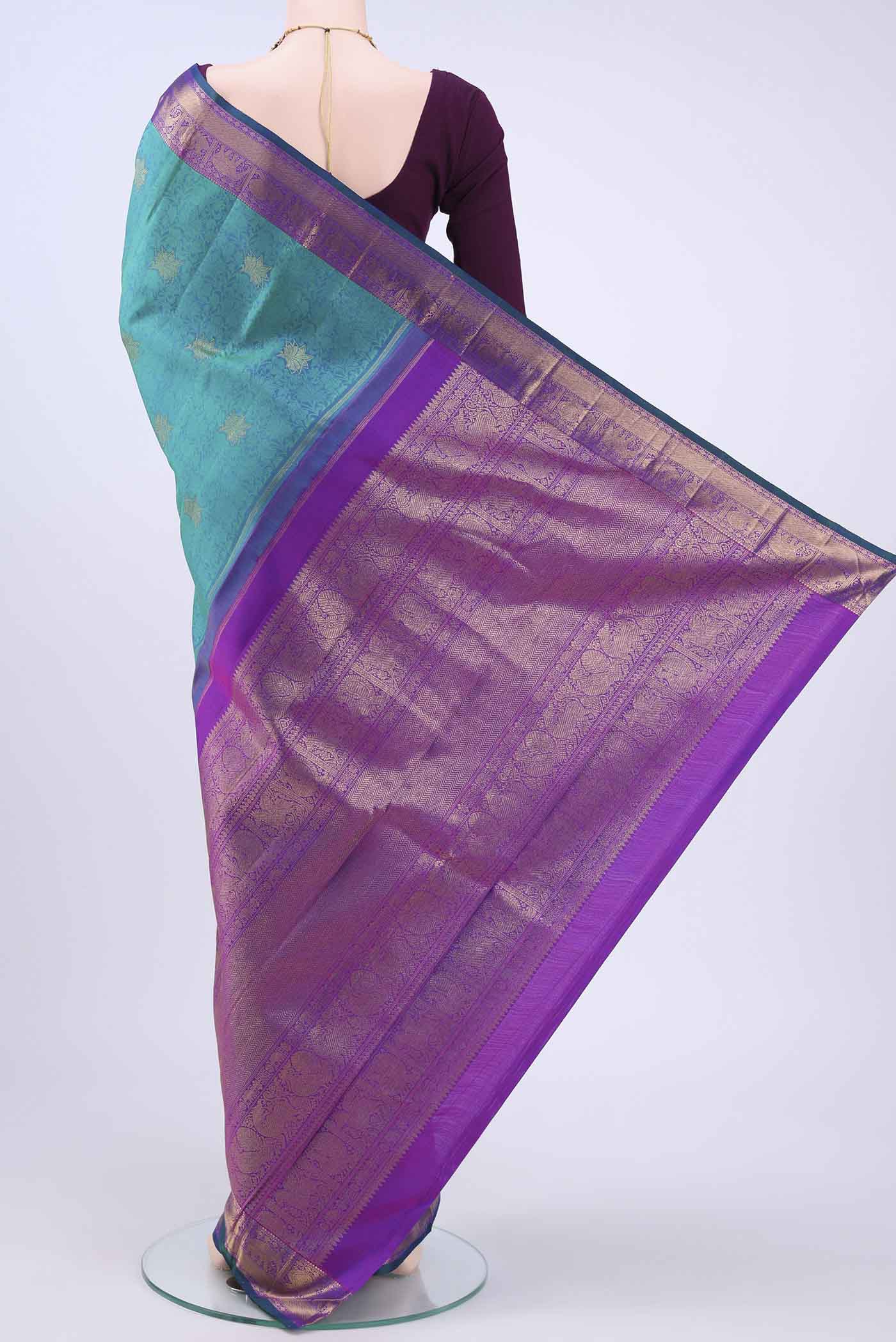 pallu body