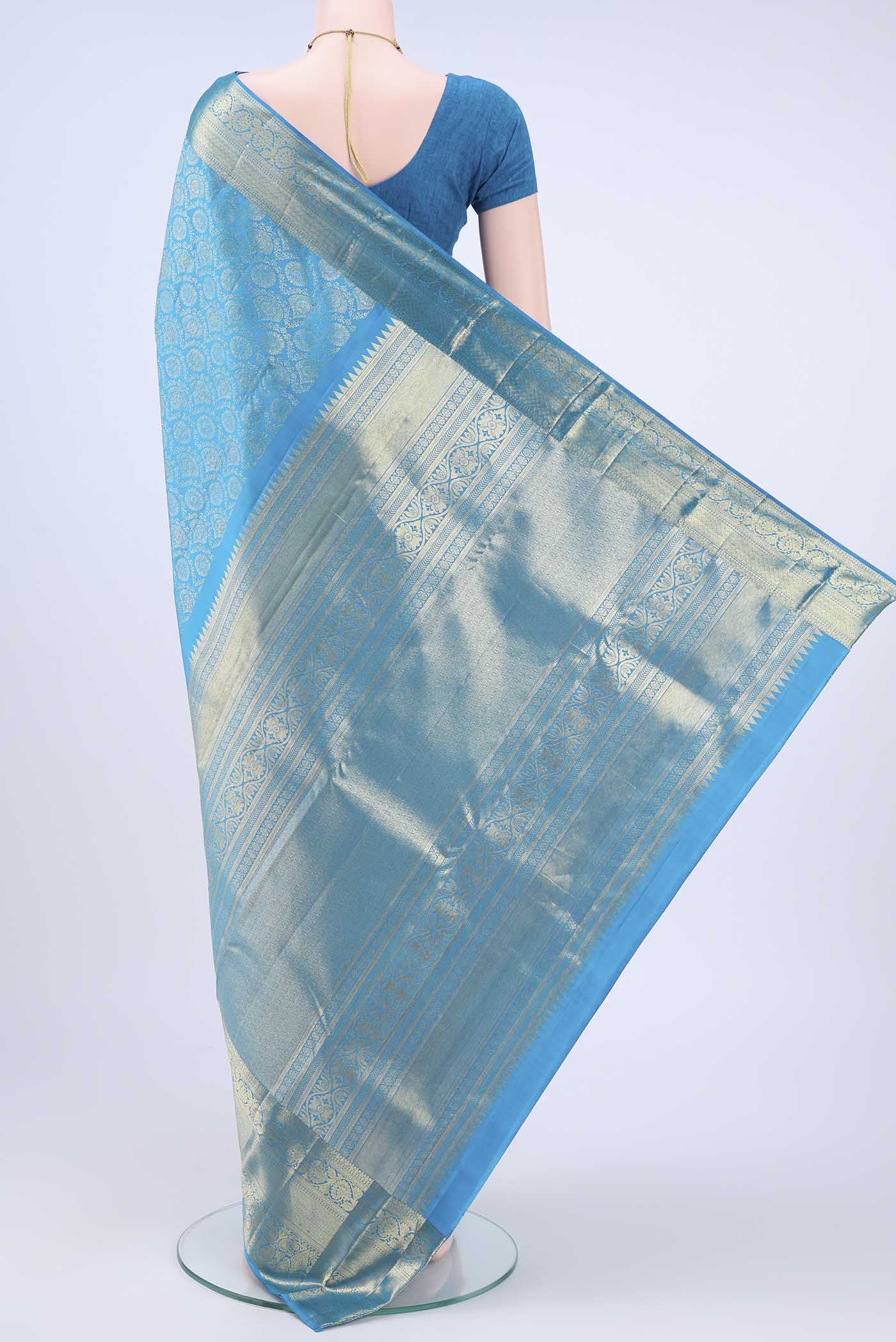 pallu body