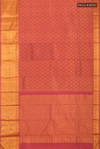 pallu body