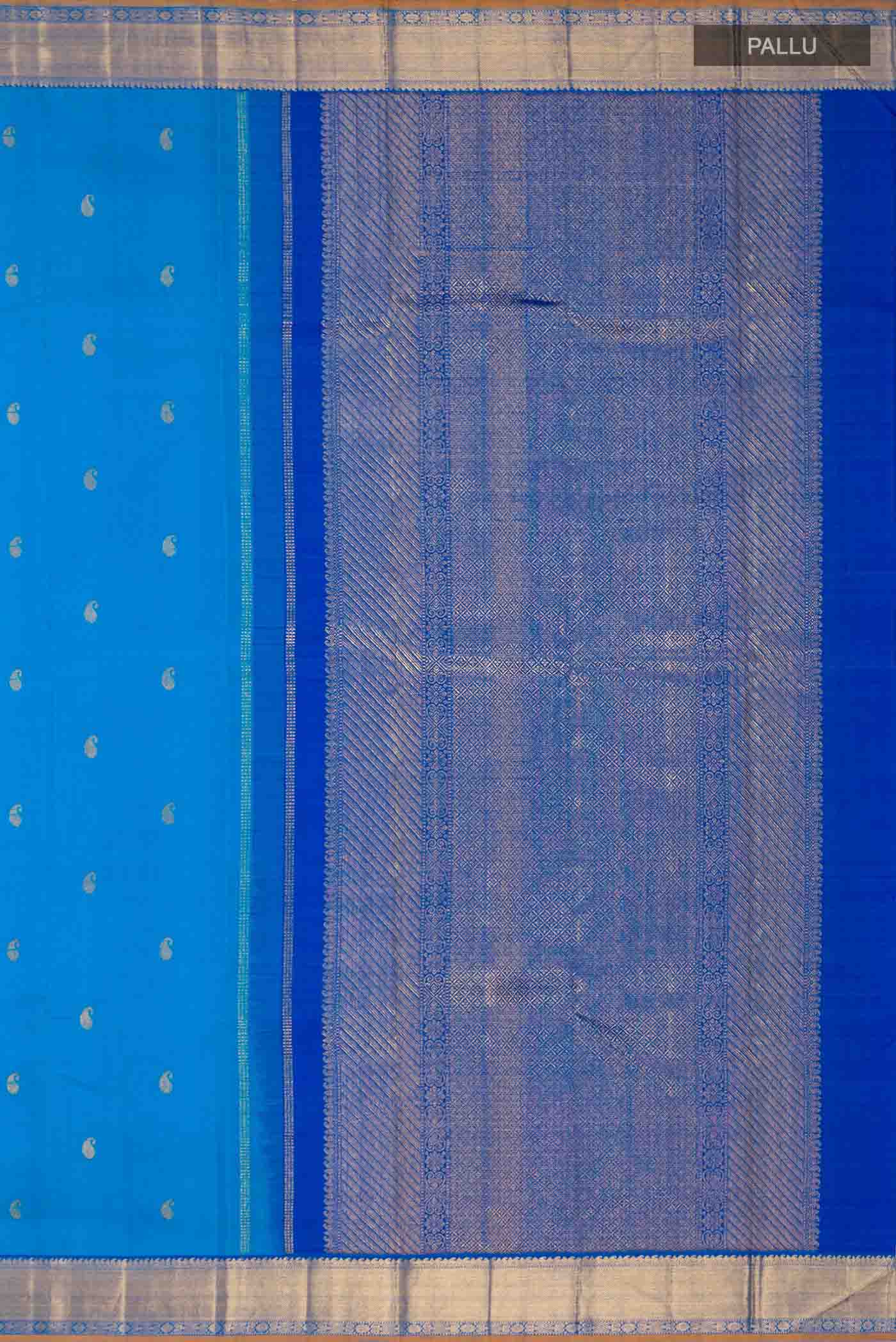 pallu_closeup