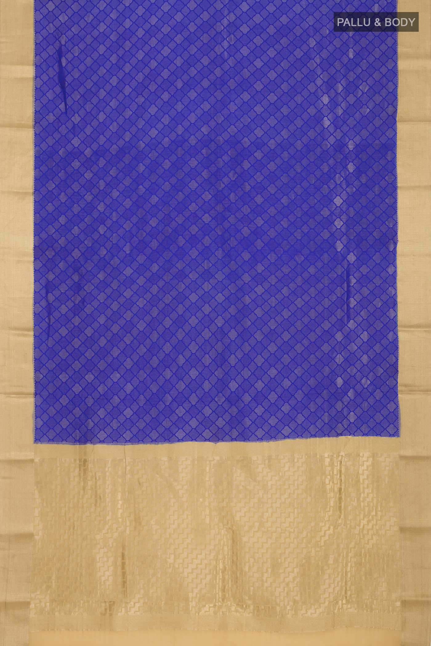 pallu body