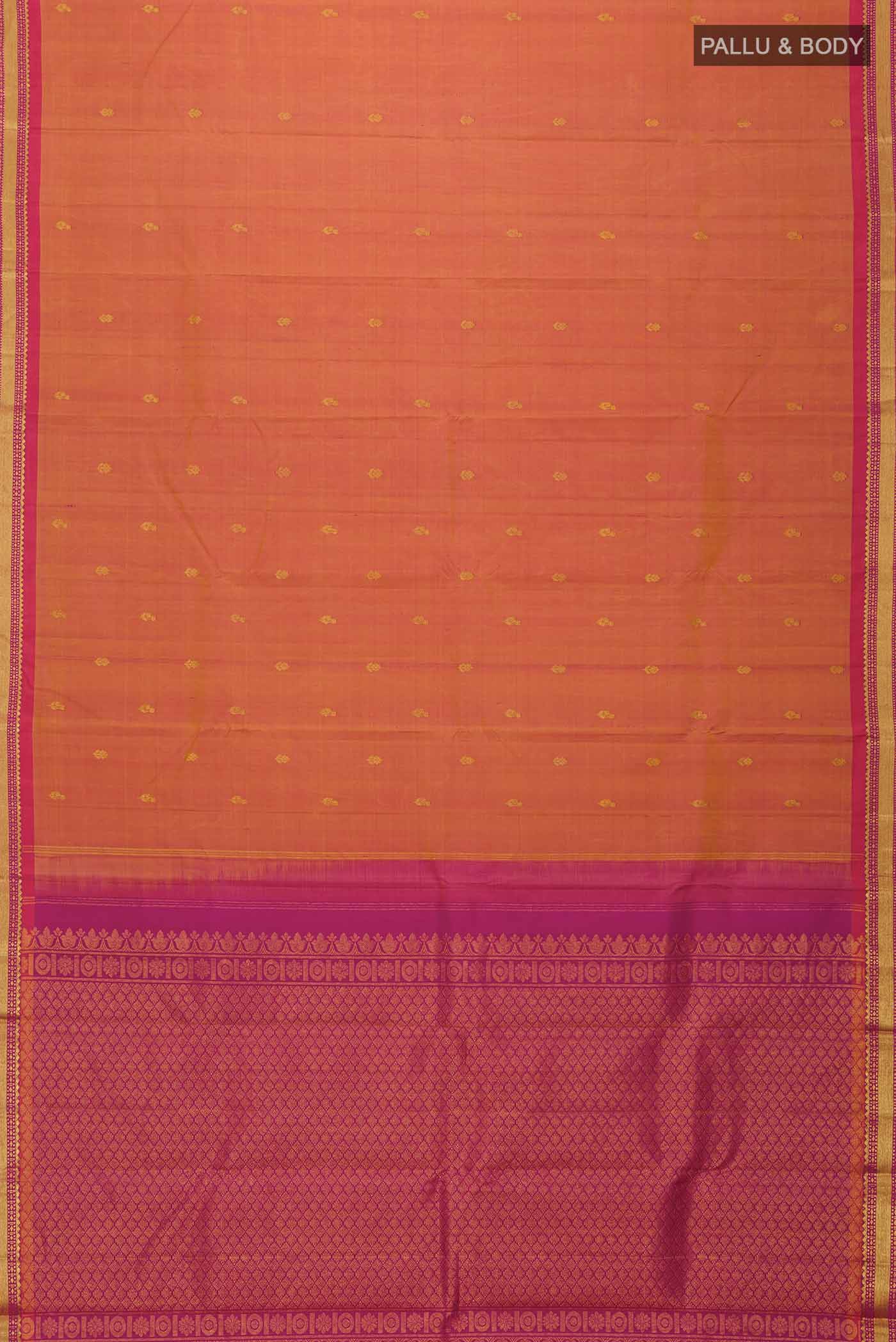 pallu body