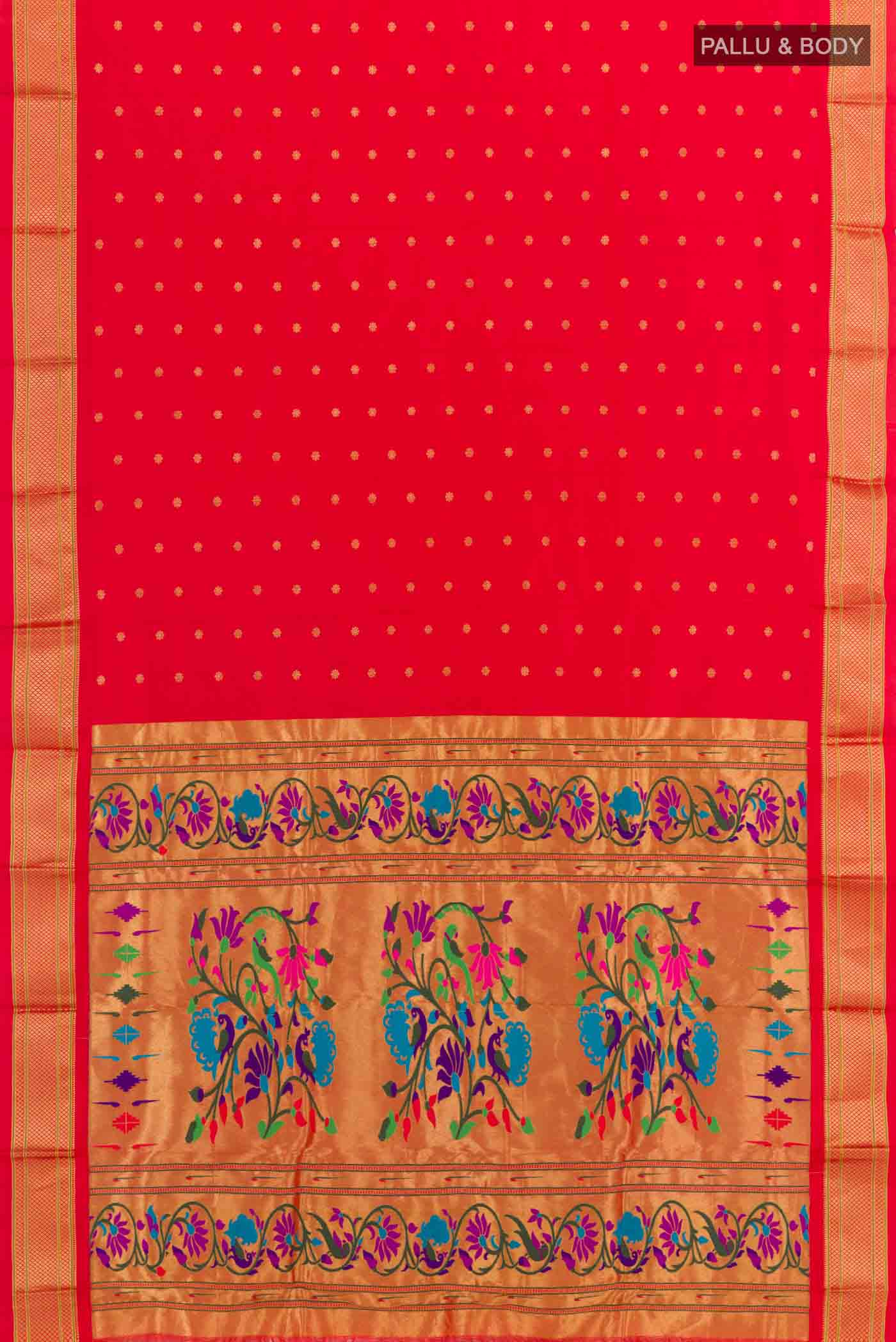 pallu body
