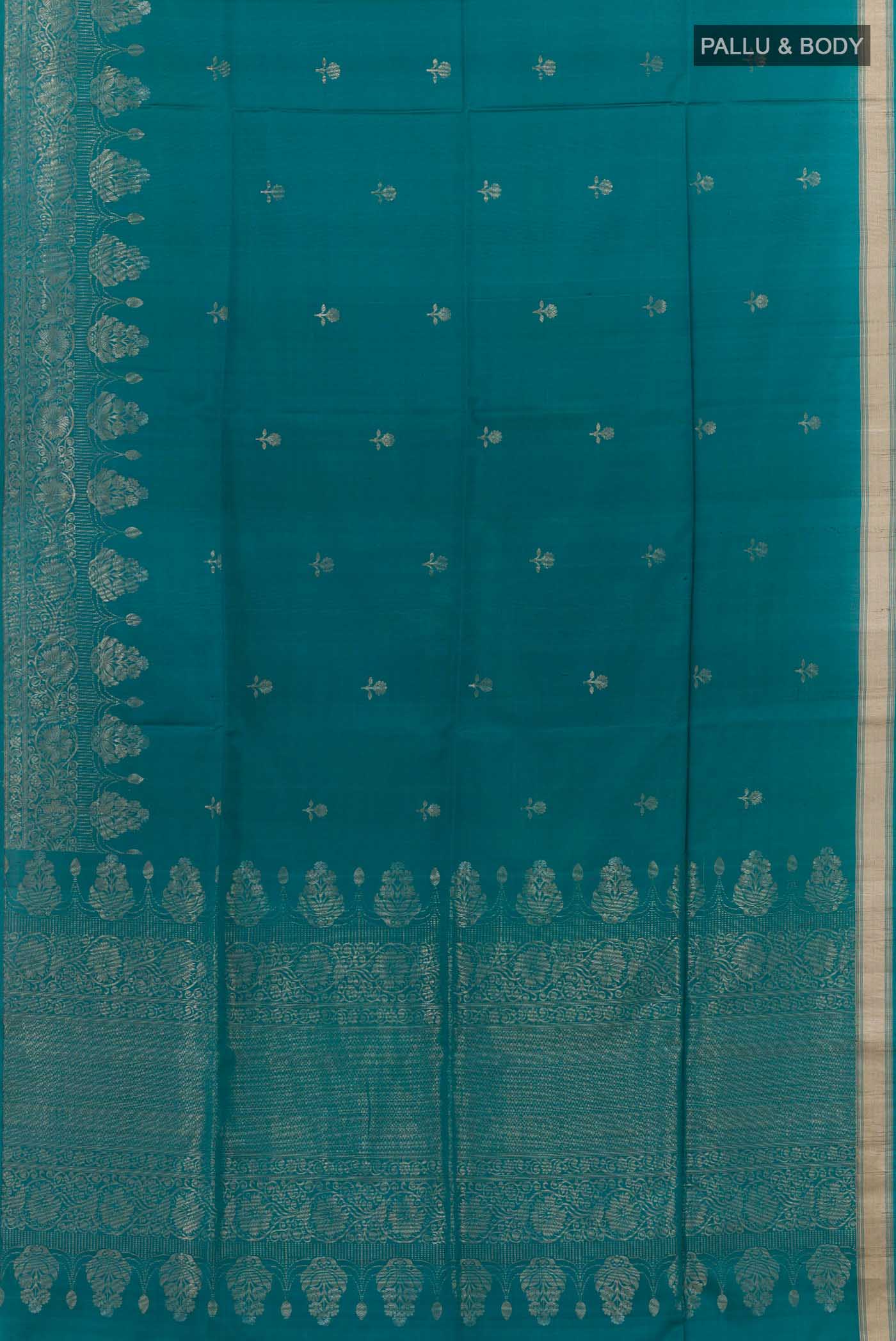 pallu body