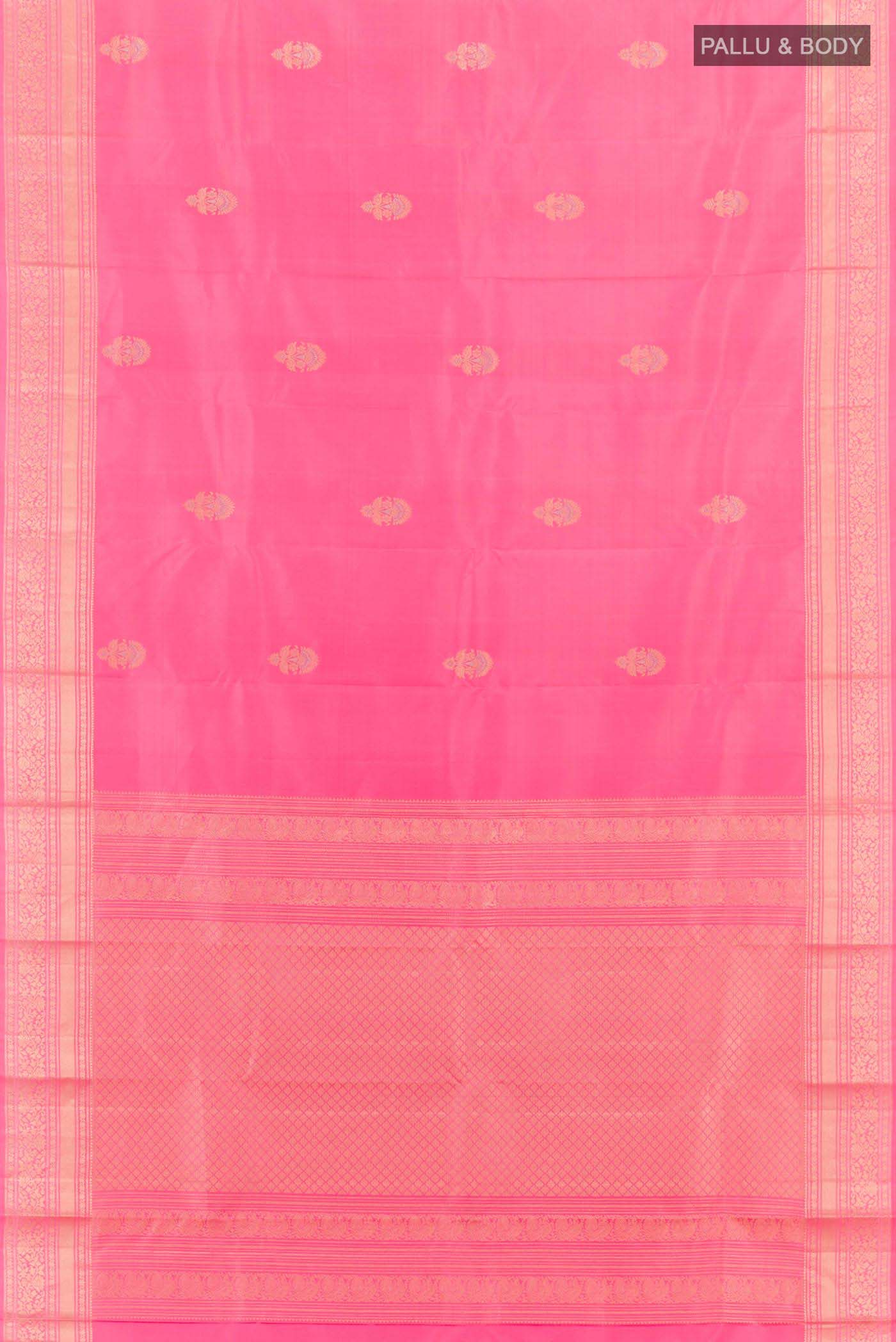 pallu body