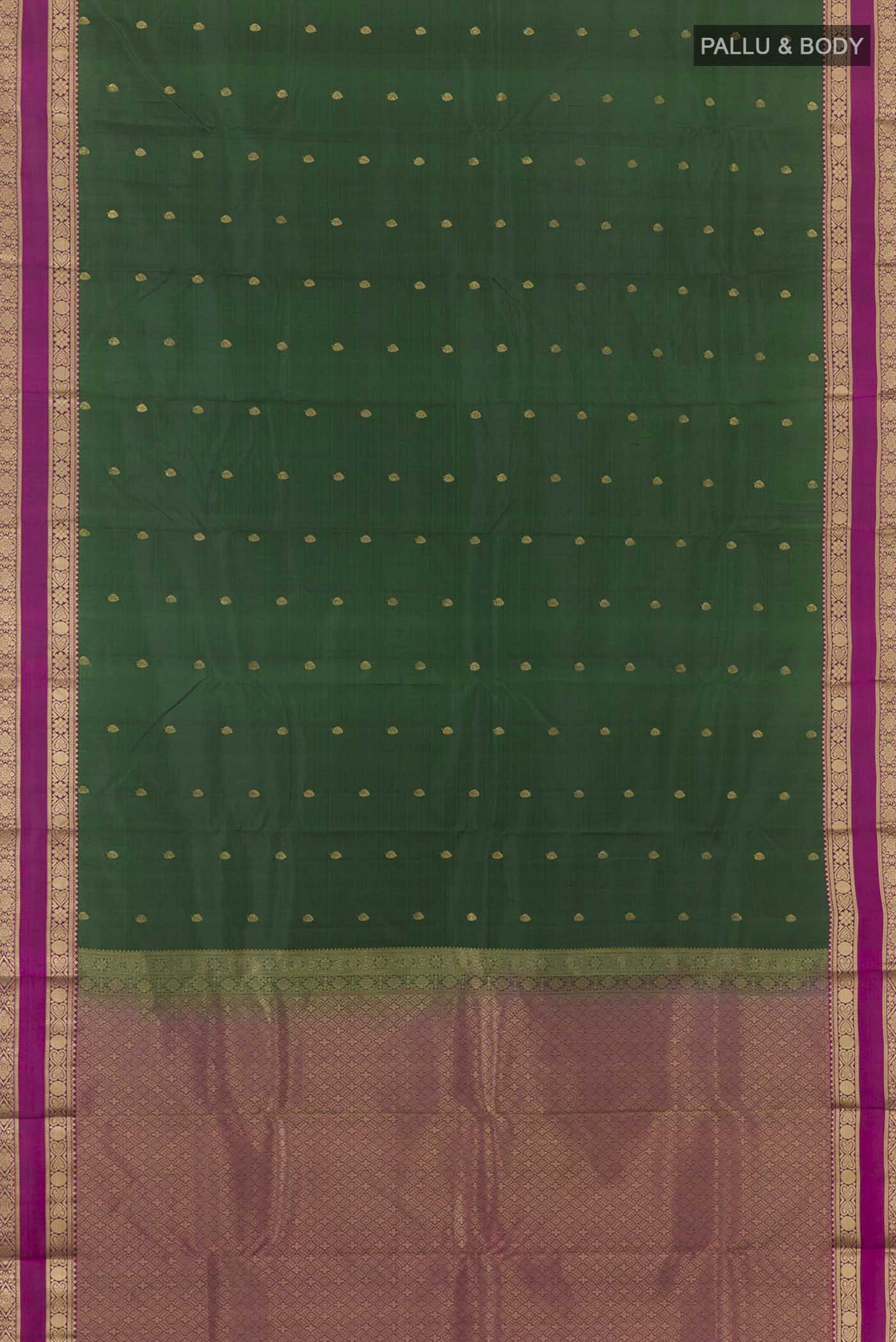 pallu body