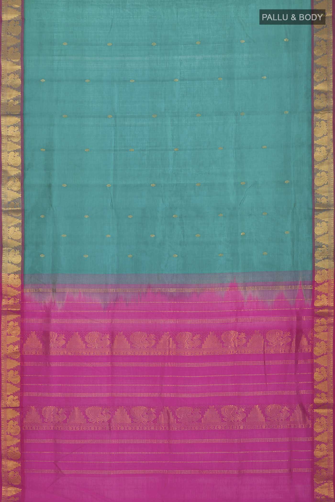 pallu body