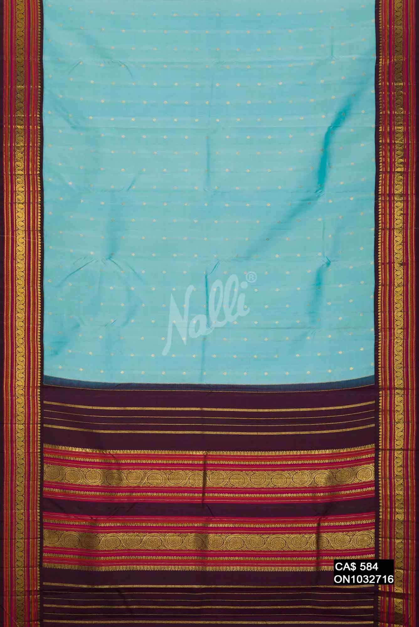 Sky Blue Kanchipuram Silk Saree