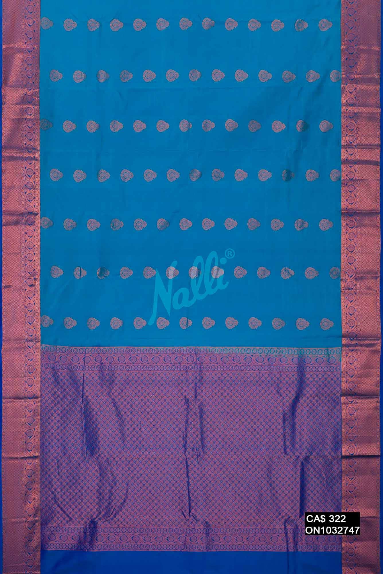 Sky Blue Kanchipuram Silk Saree