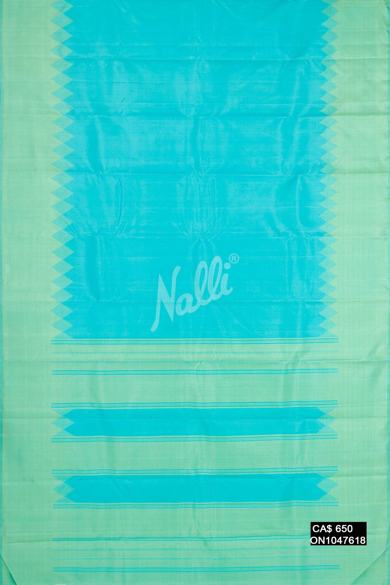 Sky Blue Kanchipuram Silk Saree