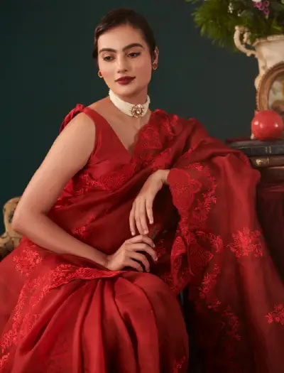 Embroidered Romance Sarees