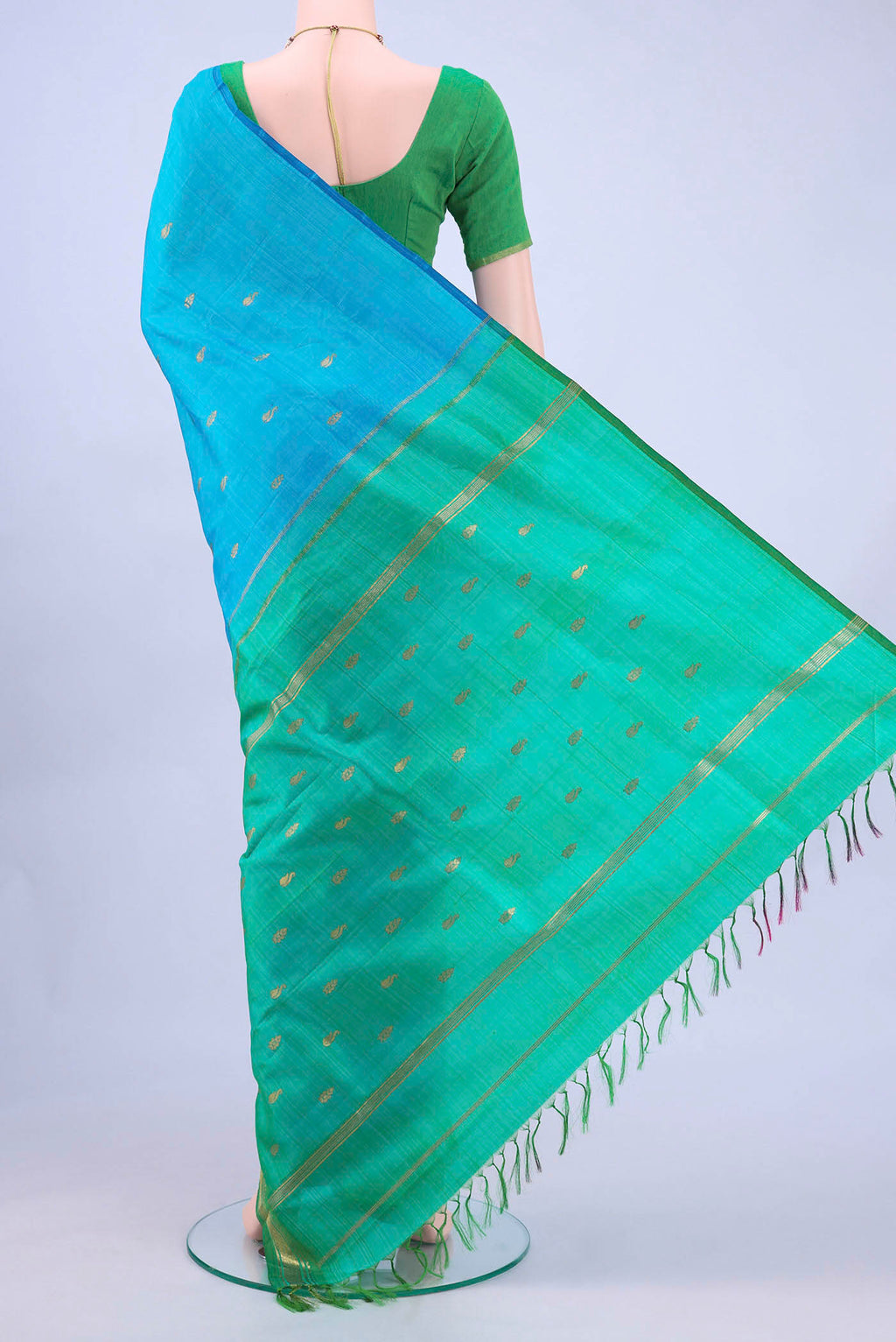 pallu body