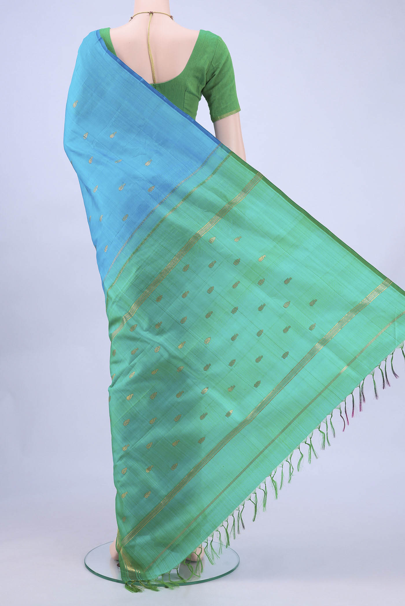 pallu body