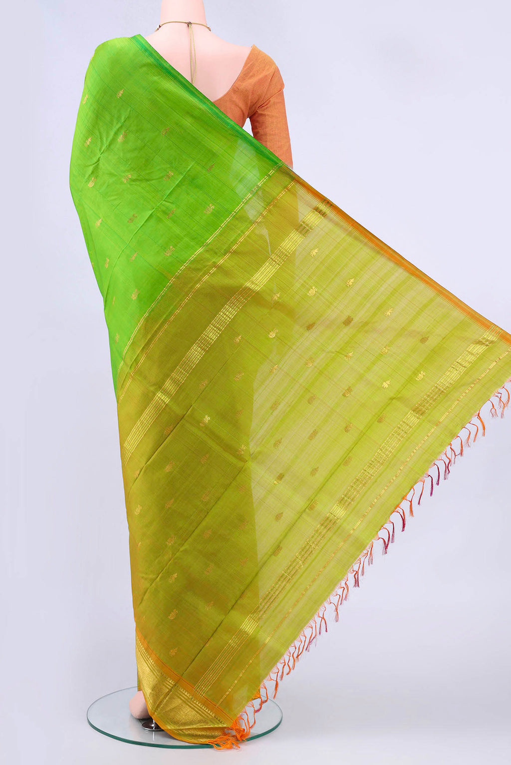 pallu body