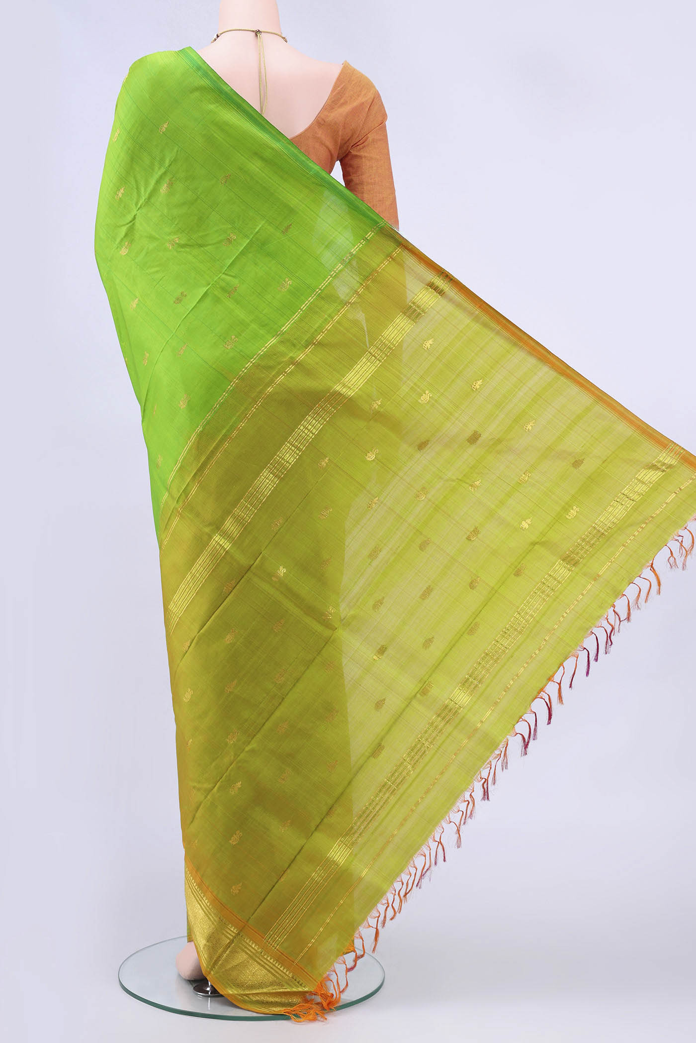 pallu body