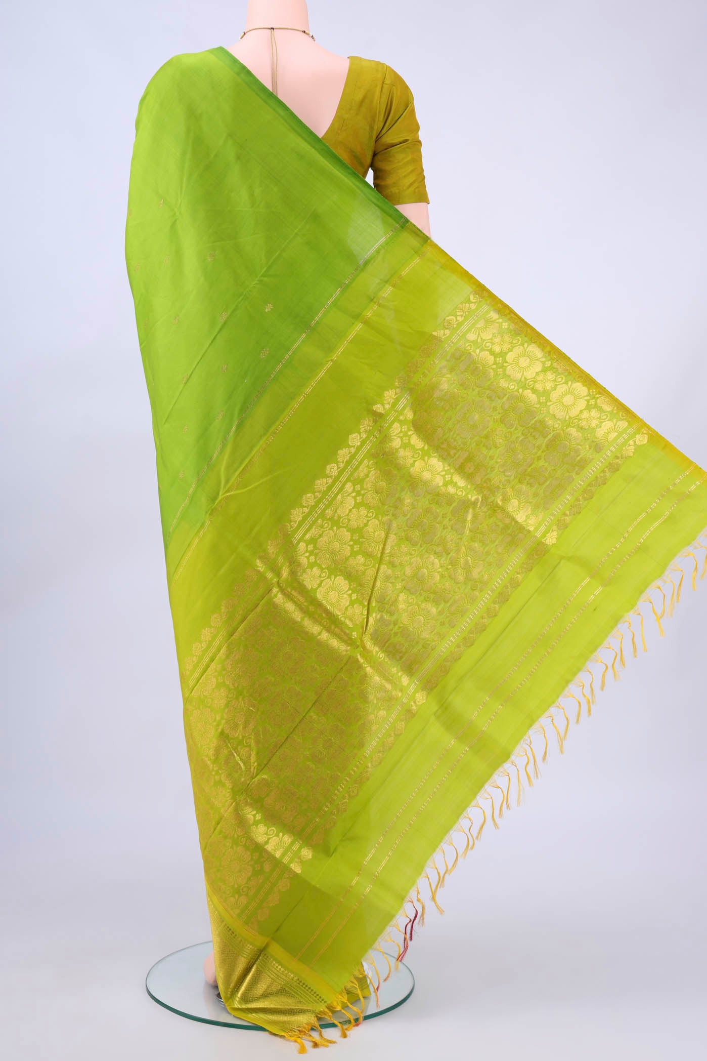 pallu body