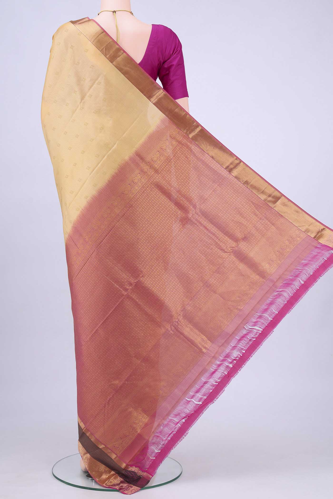 pallu body