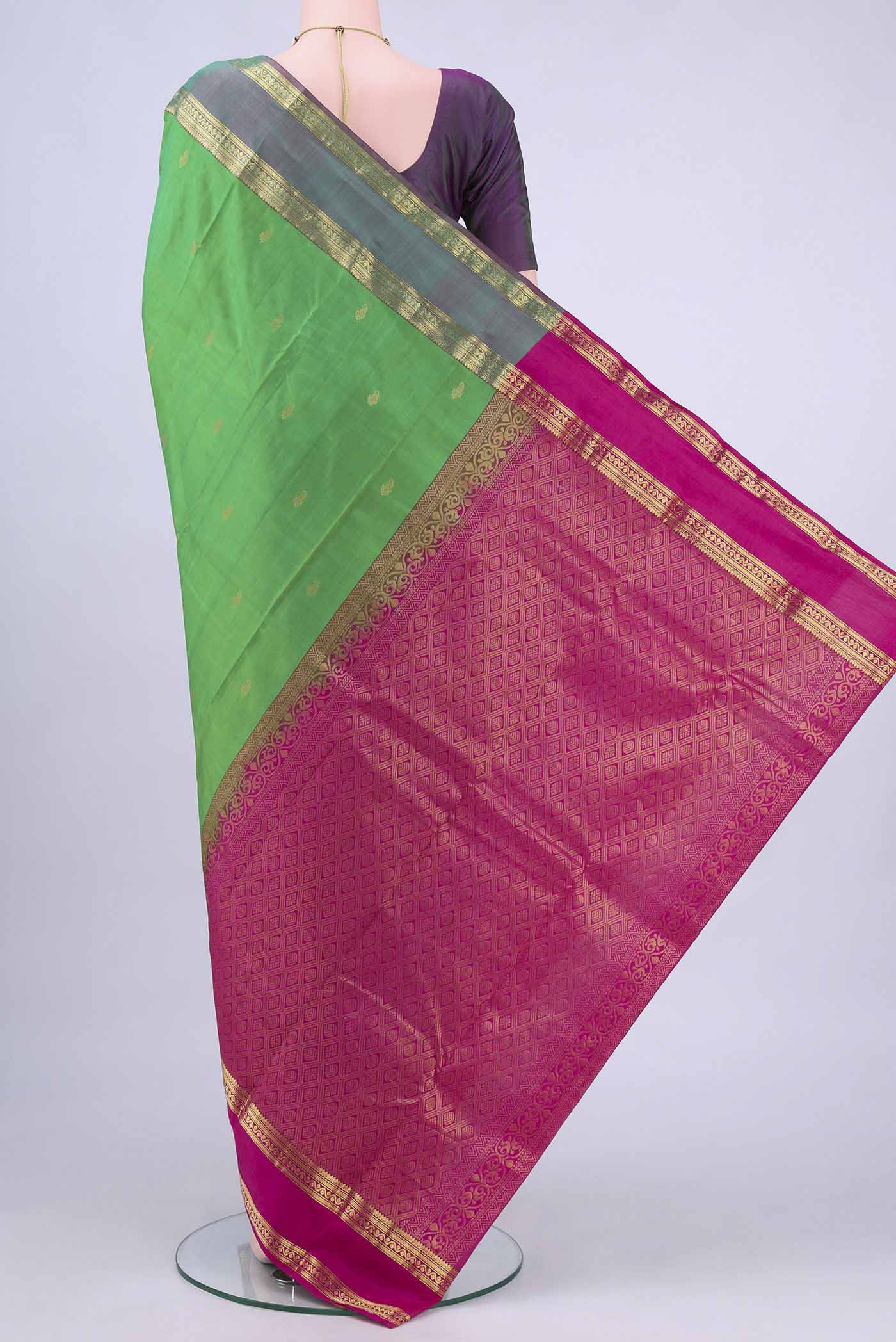 pallu body