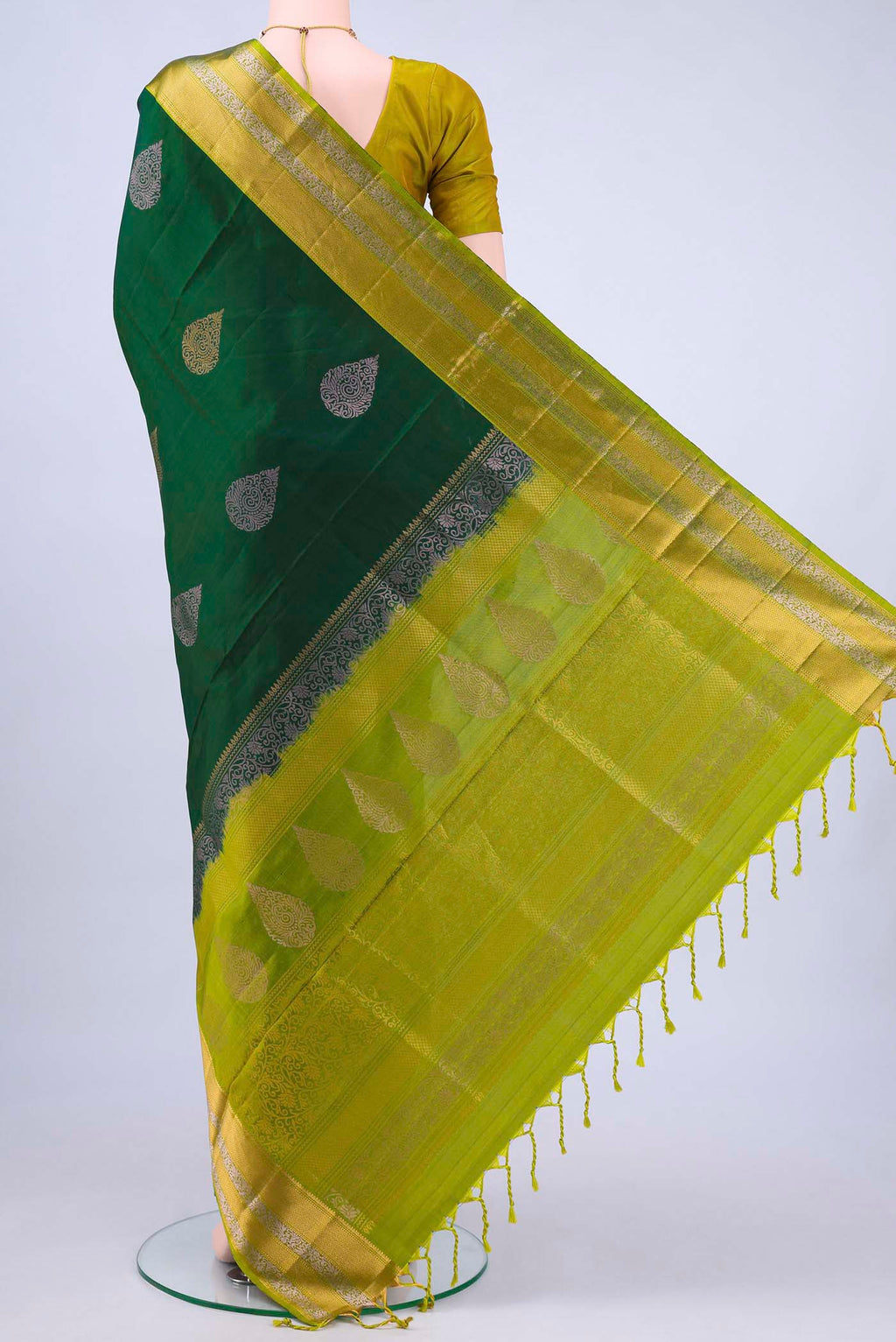pallu body