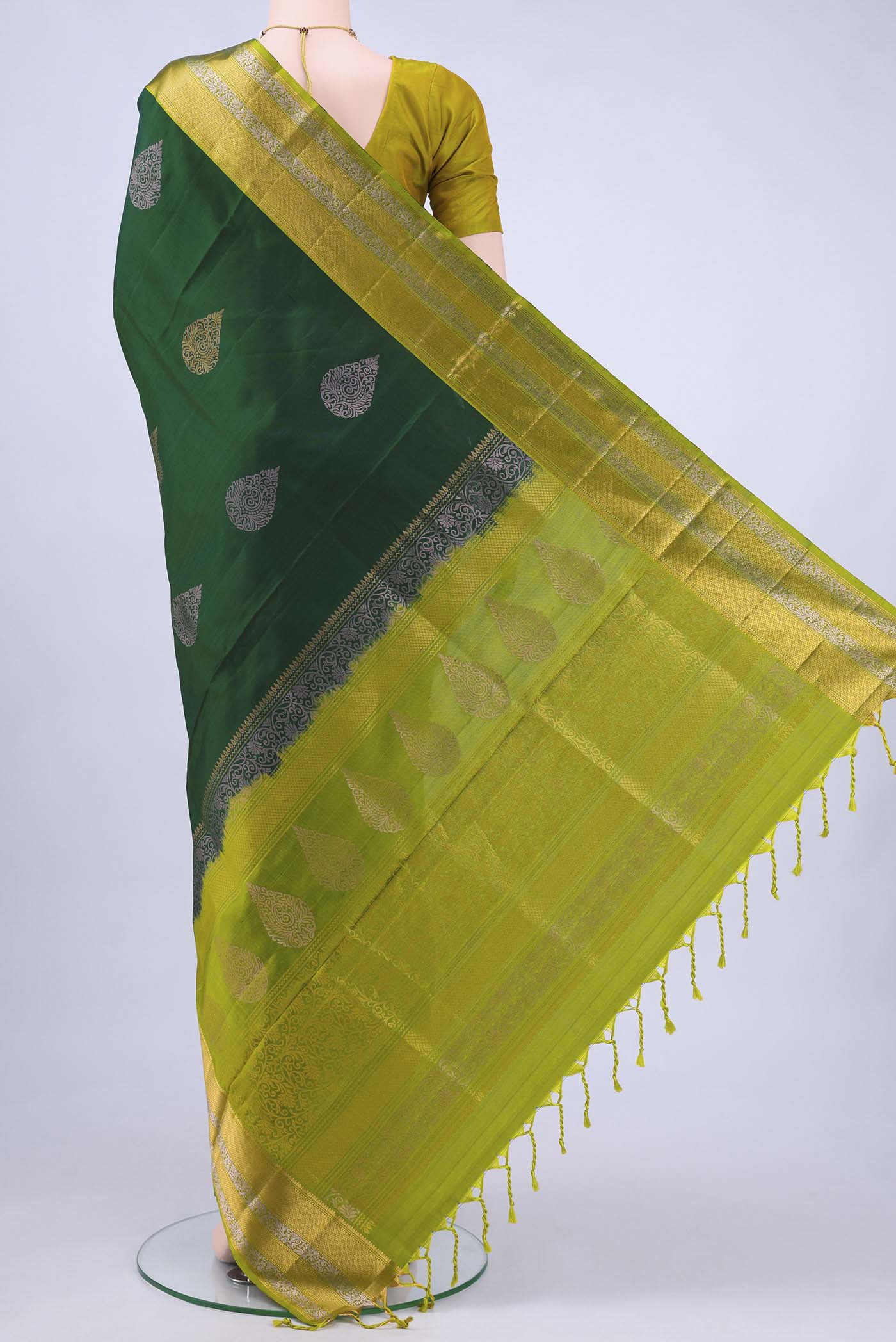 pallu body