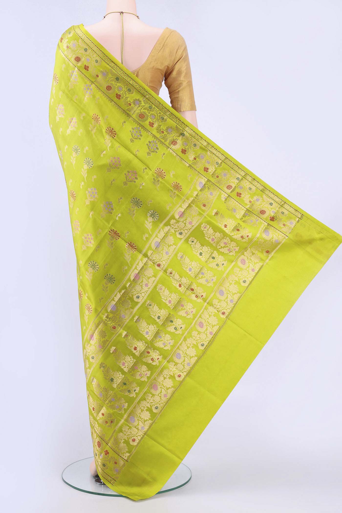 pallu body