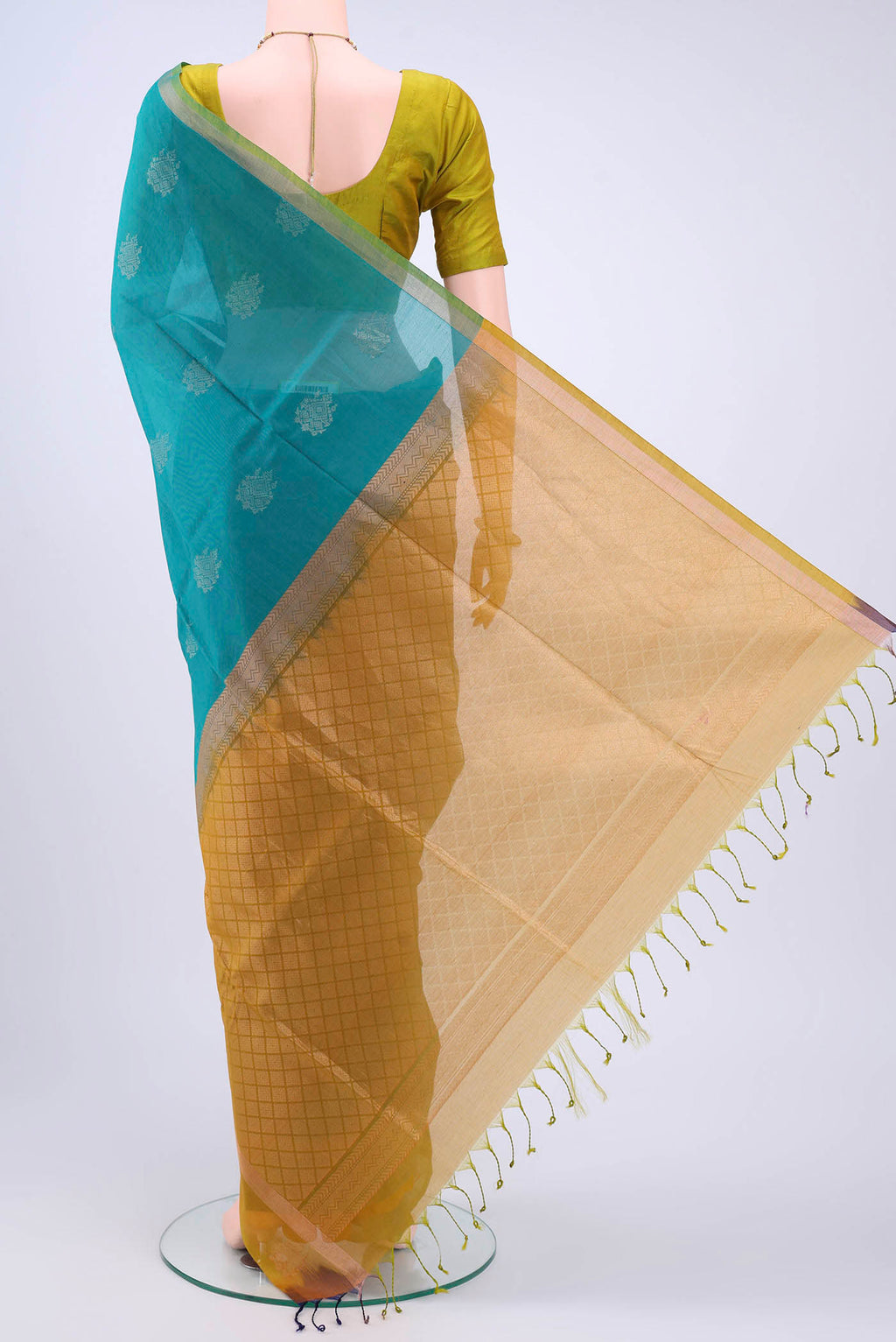 pallu body