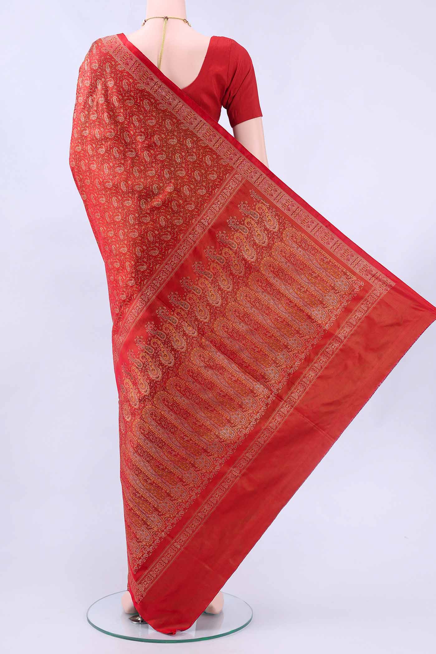 pallu body