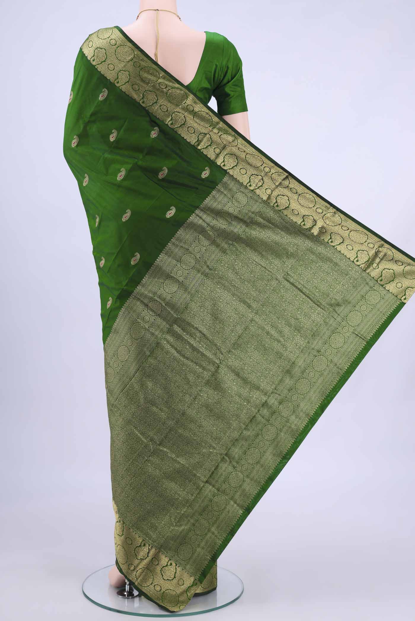 pallu body