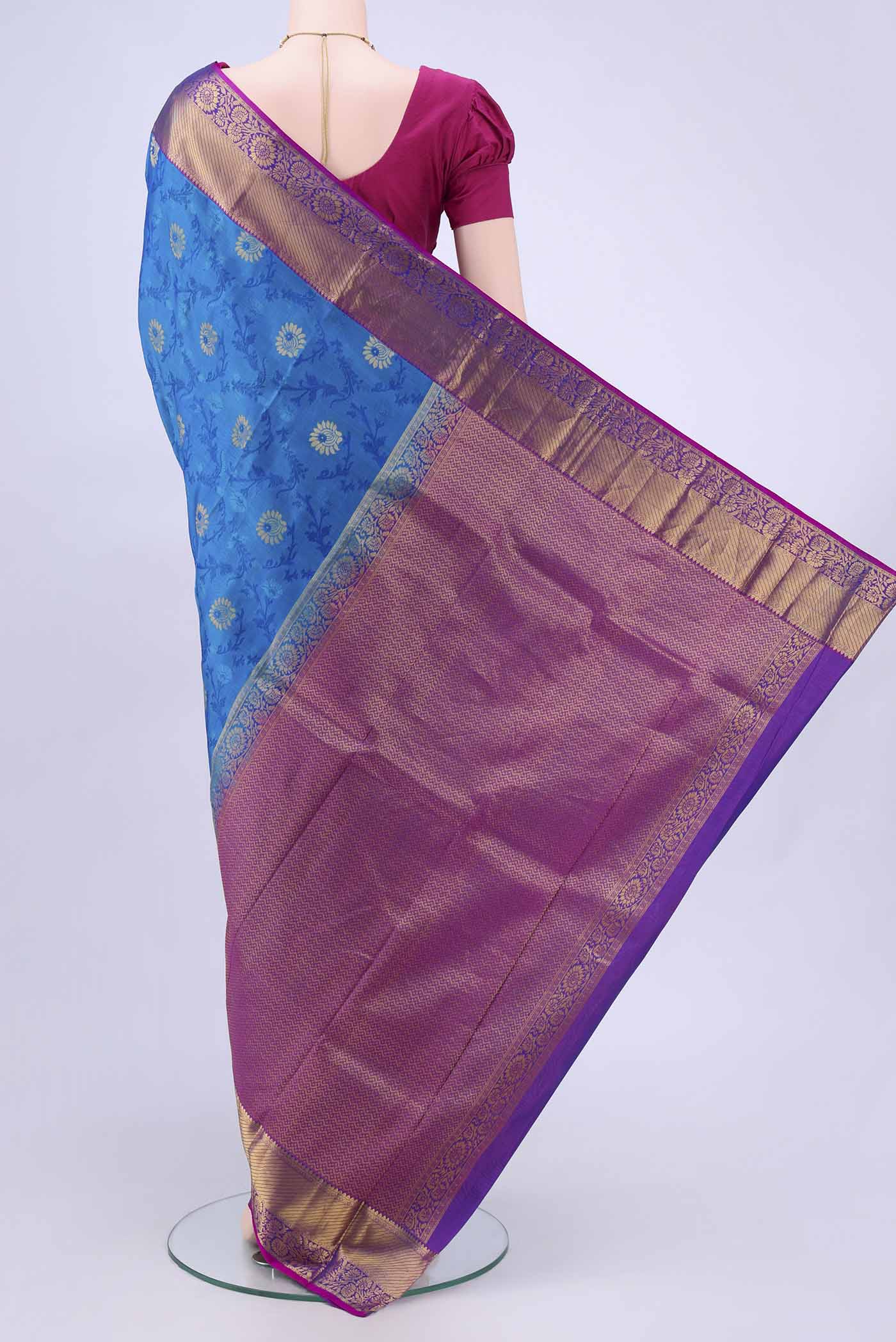 pallu body
