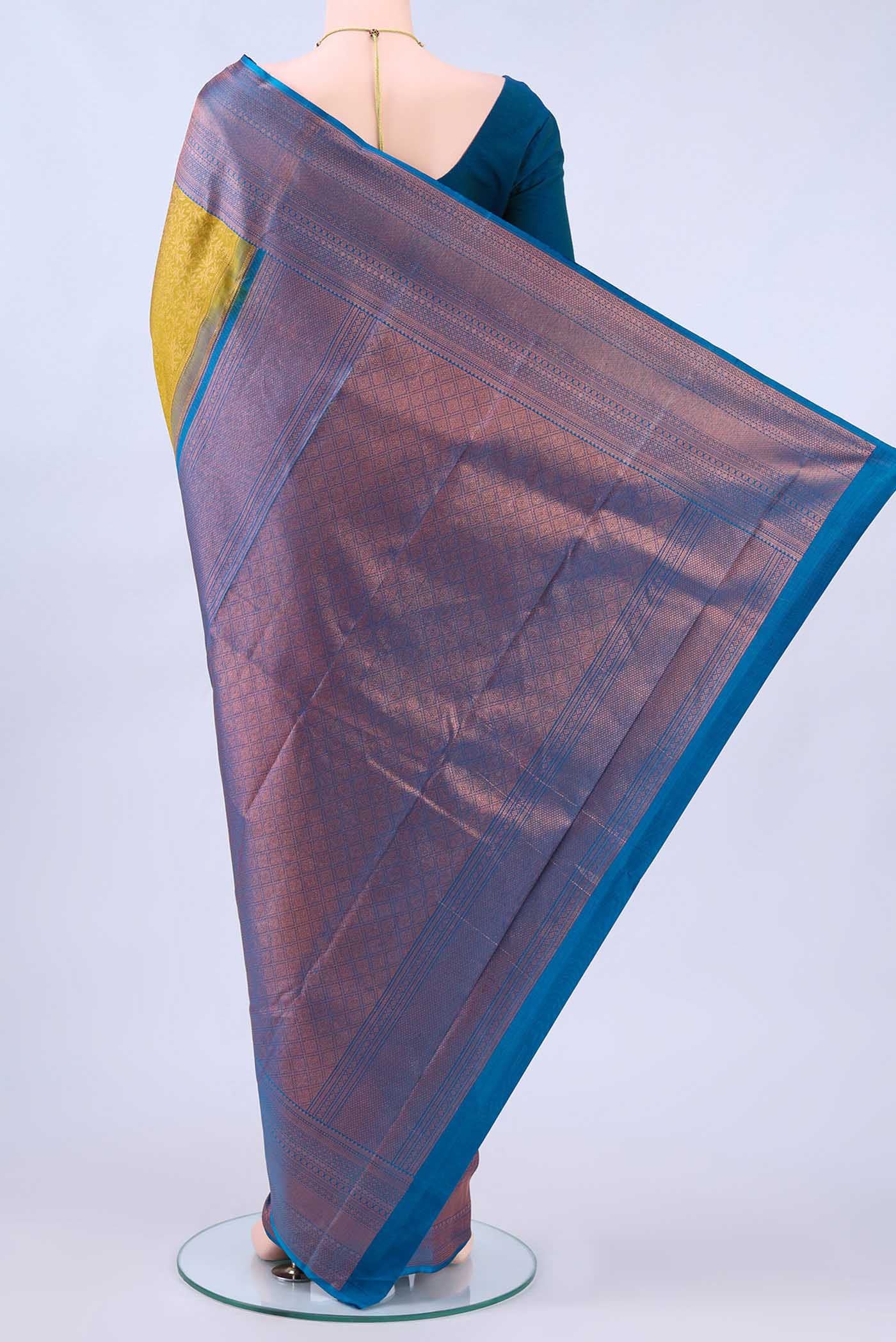 pallu body