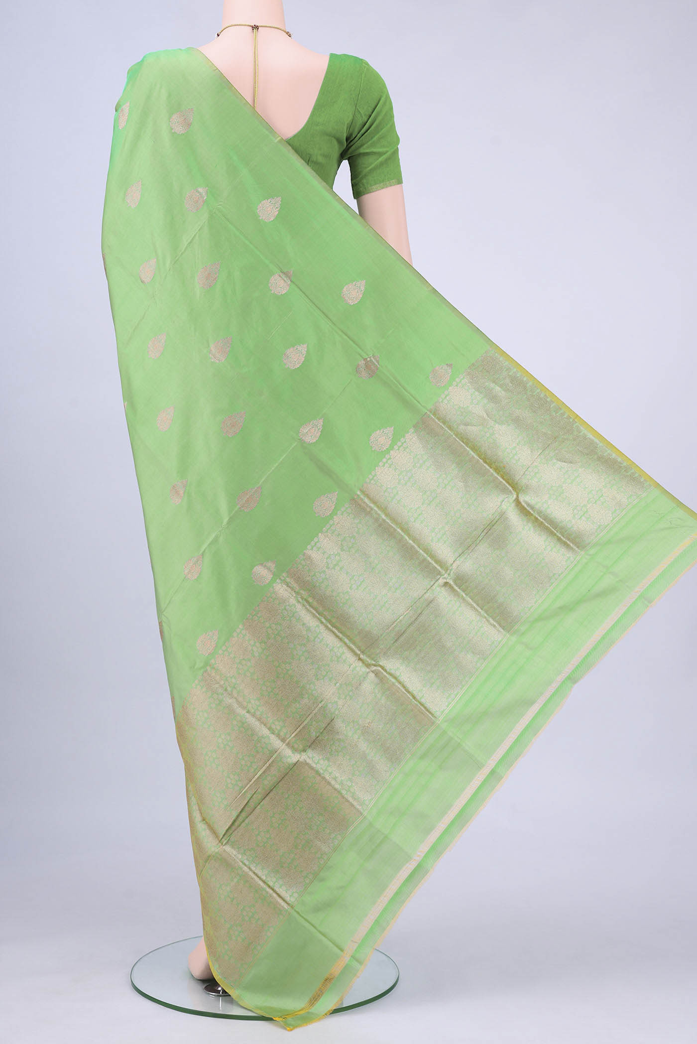 pallu body