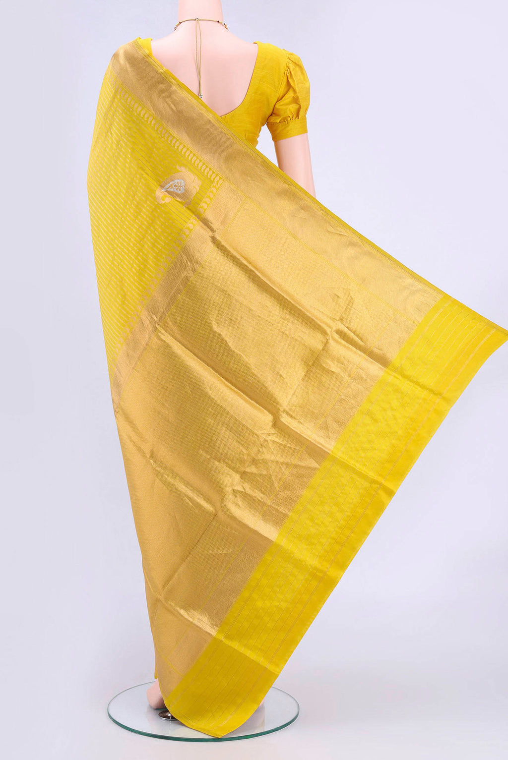 pallu body