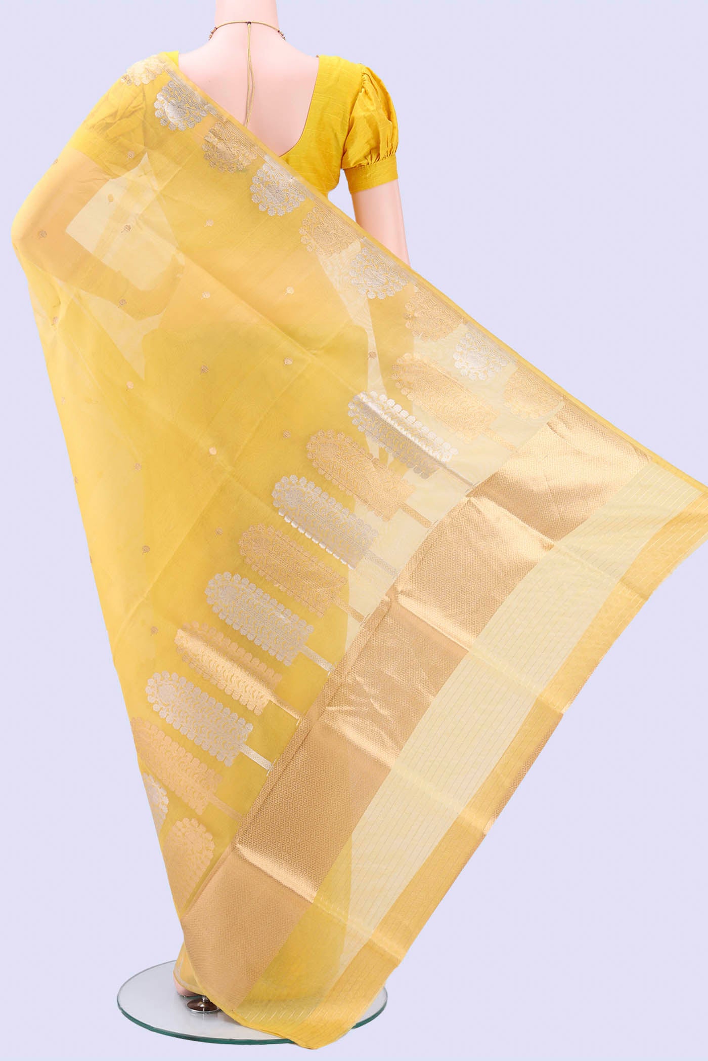 pallu body