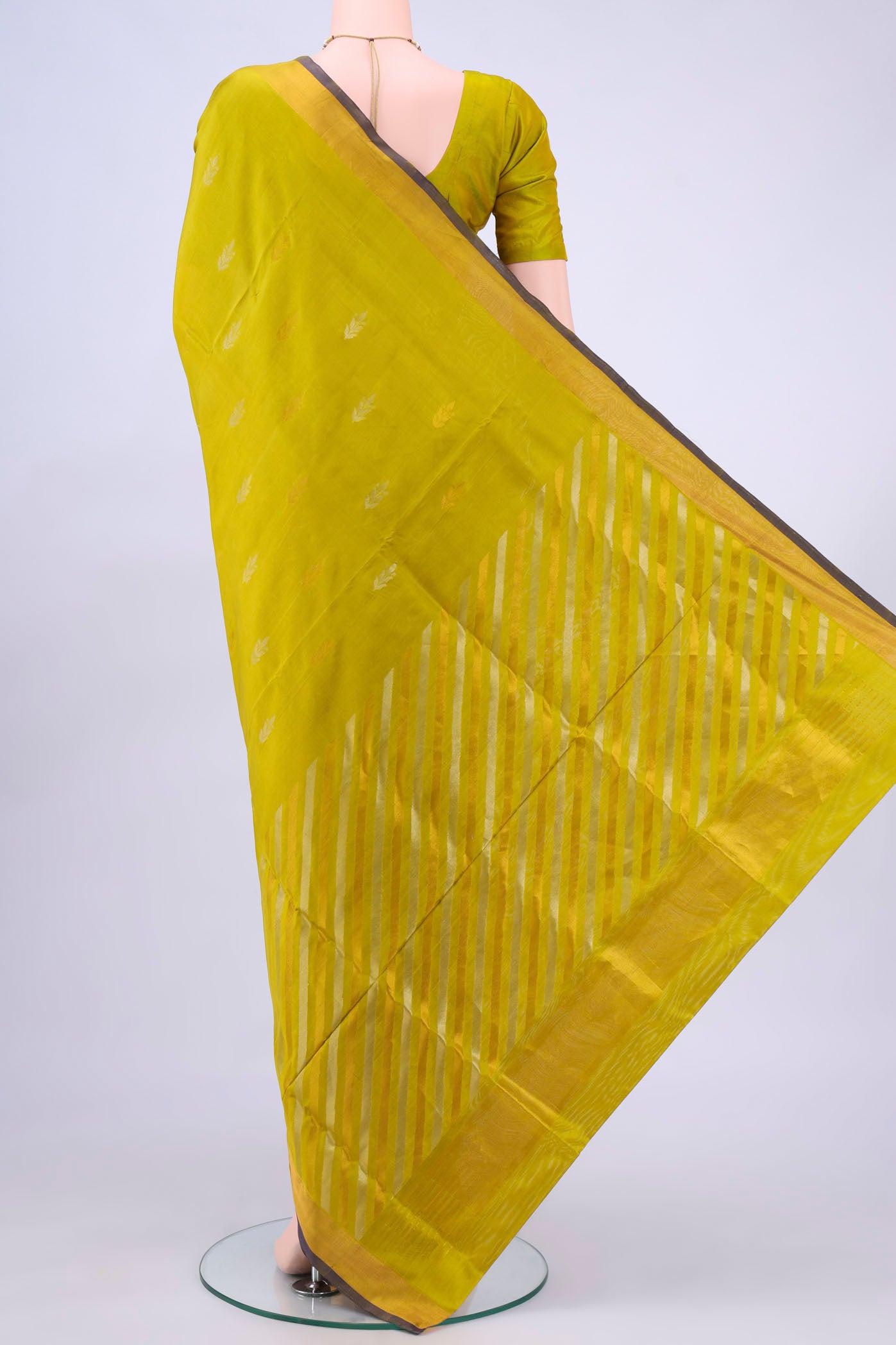 pallu body
