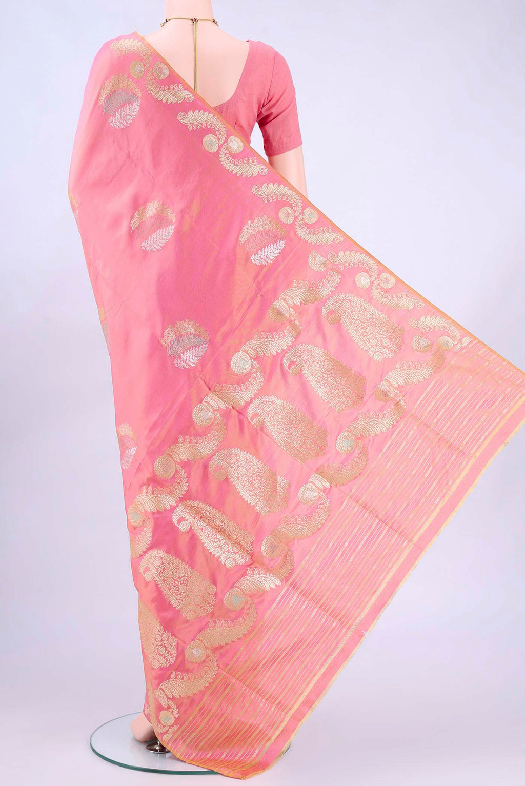 pallu body