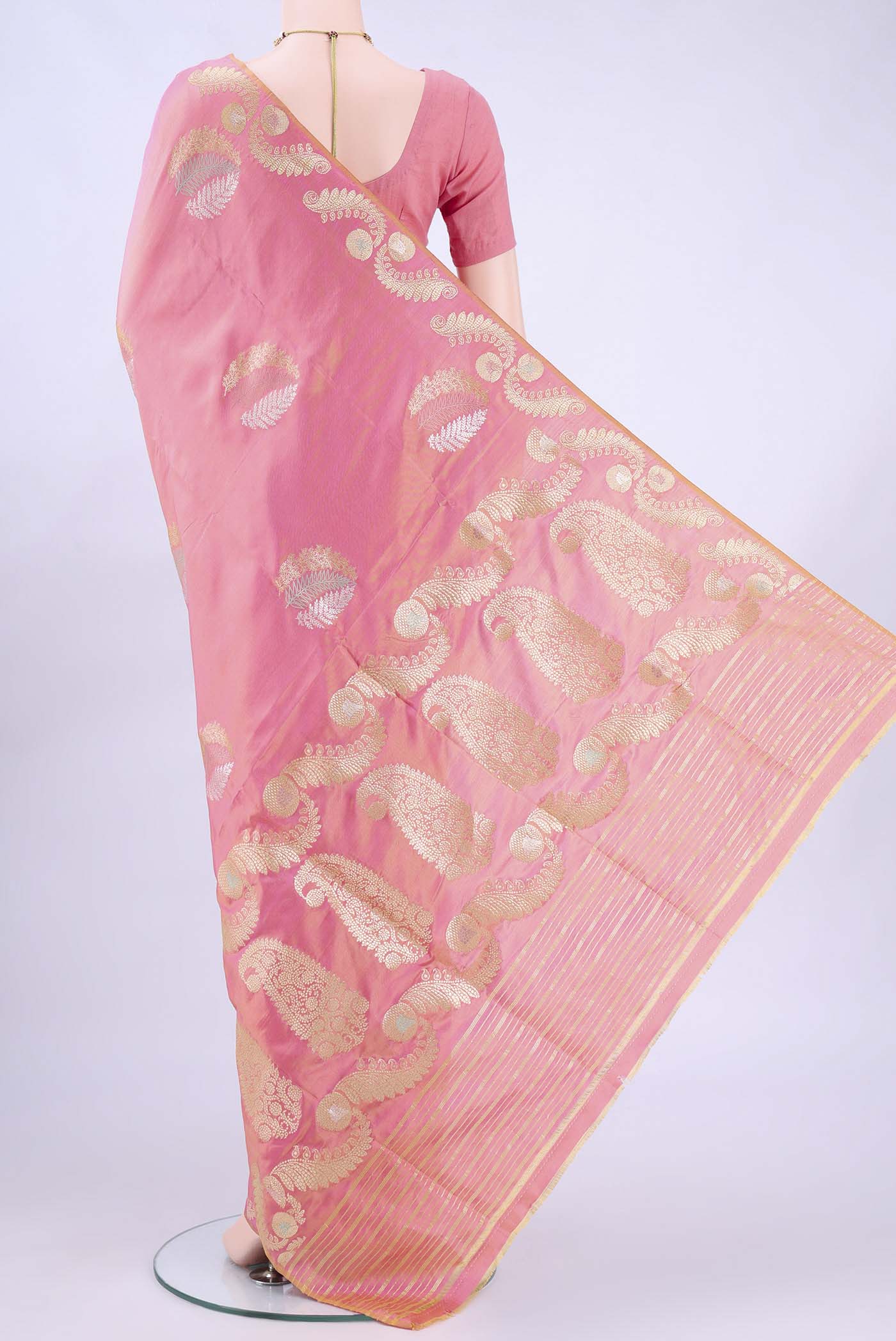 pallu body
