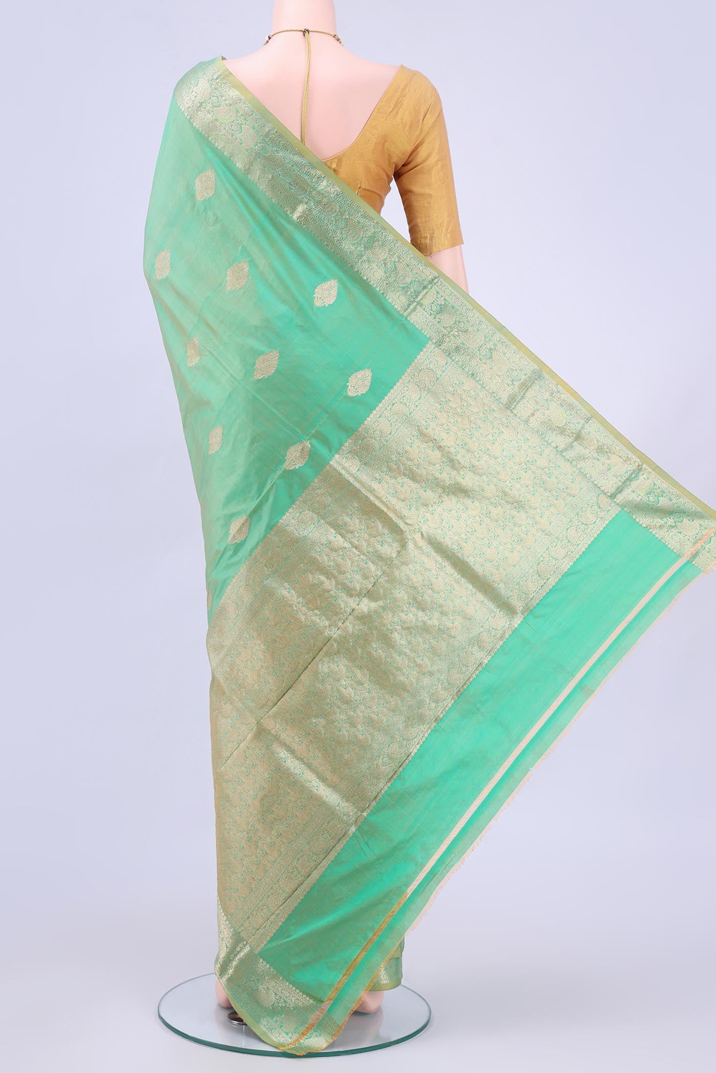 pallu body