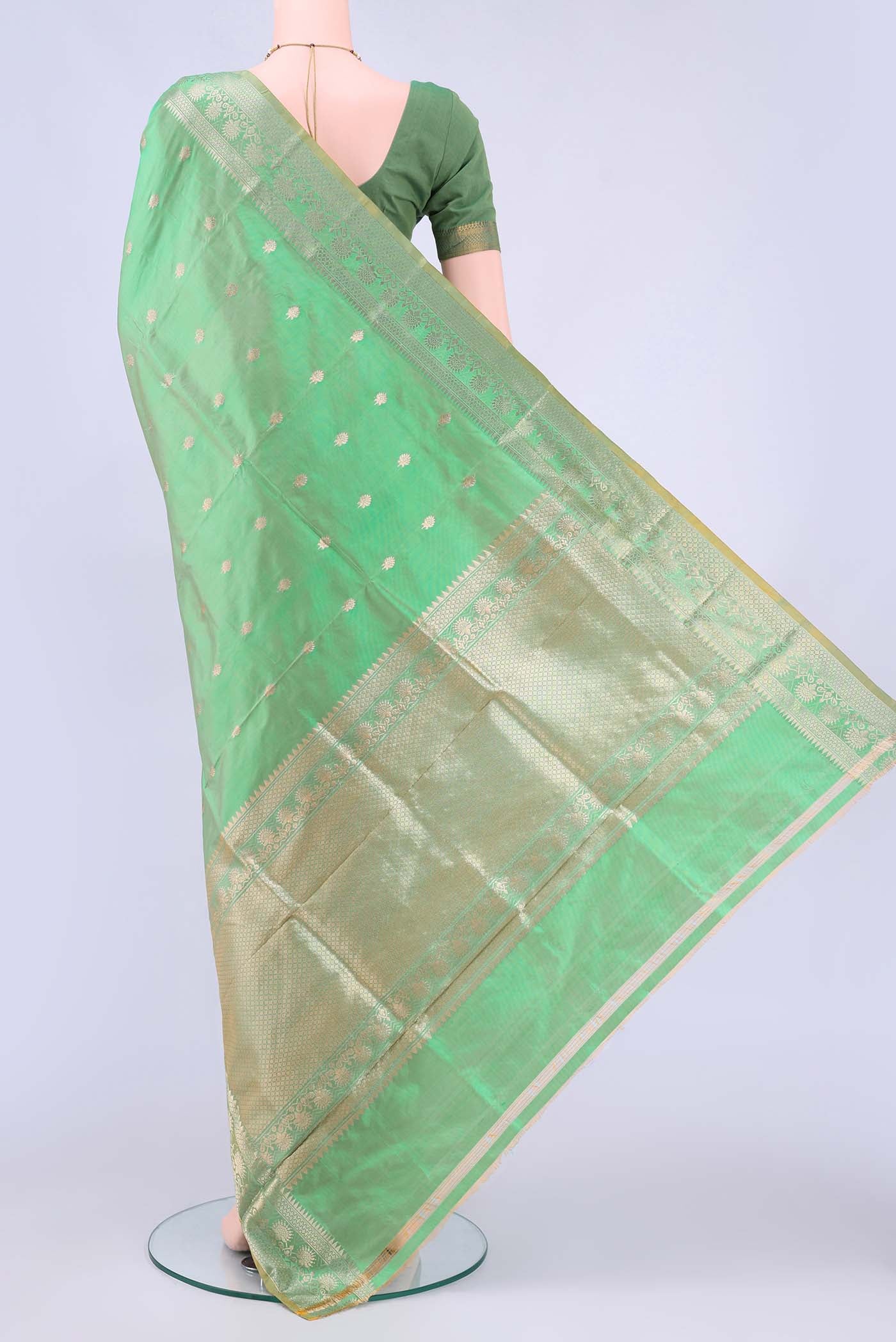 pallu body