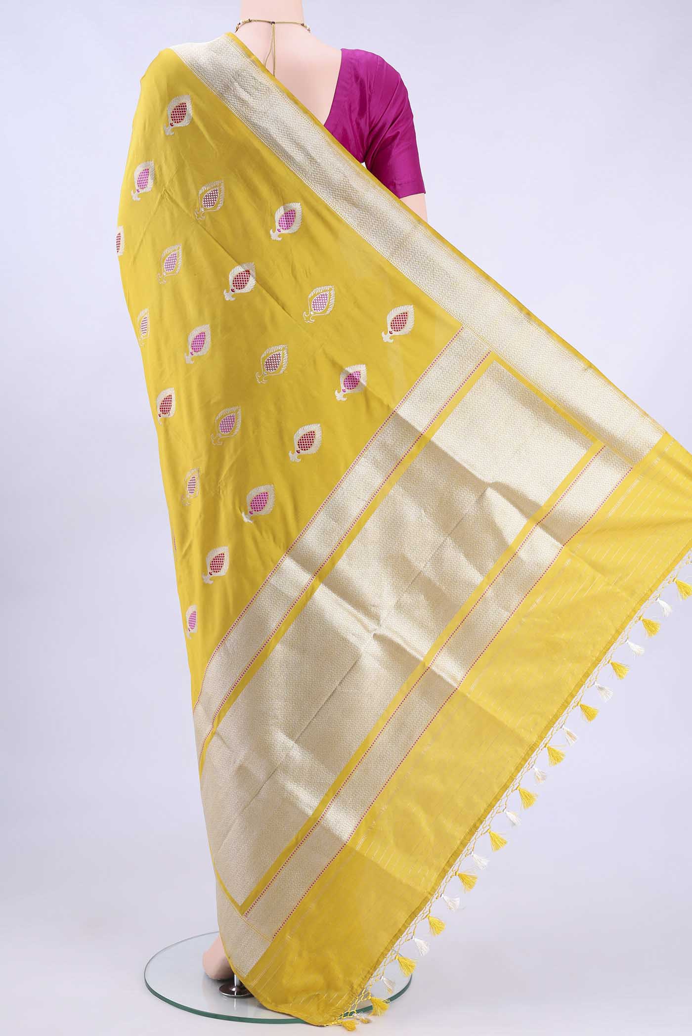 pallu body