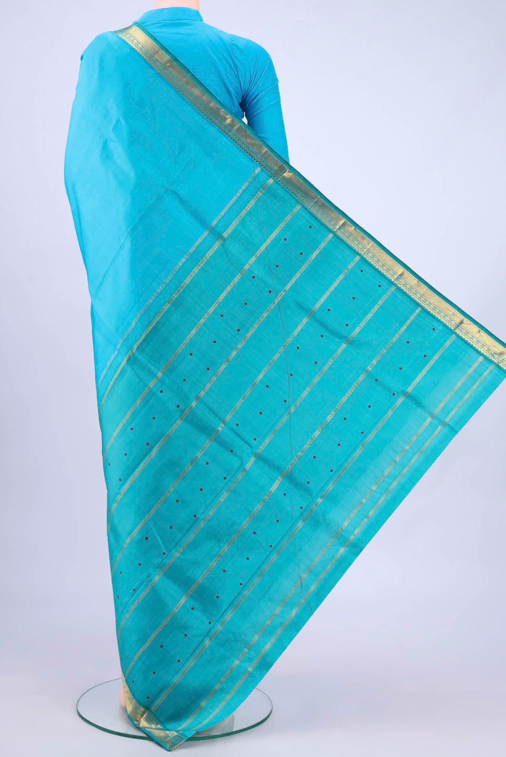 pallu body