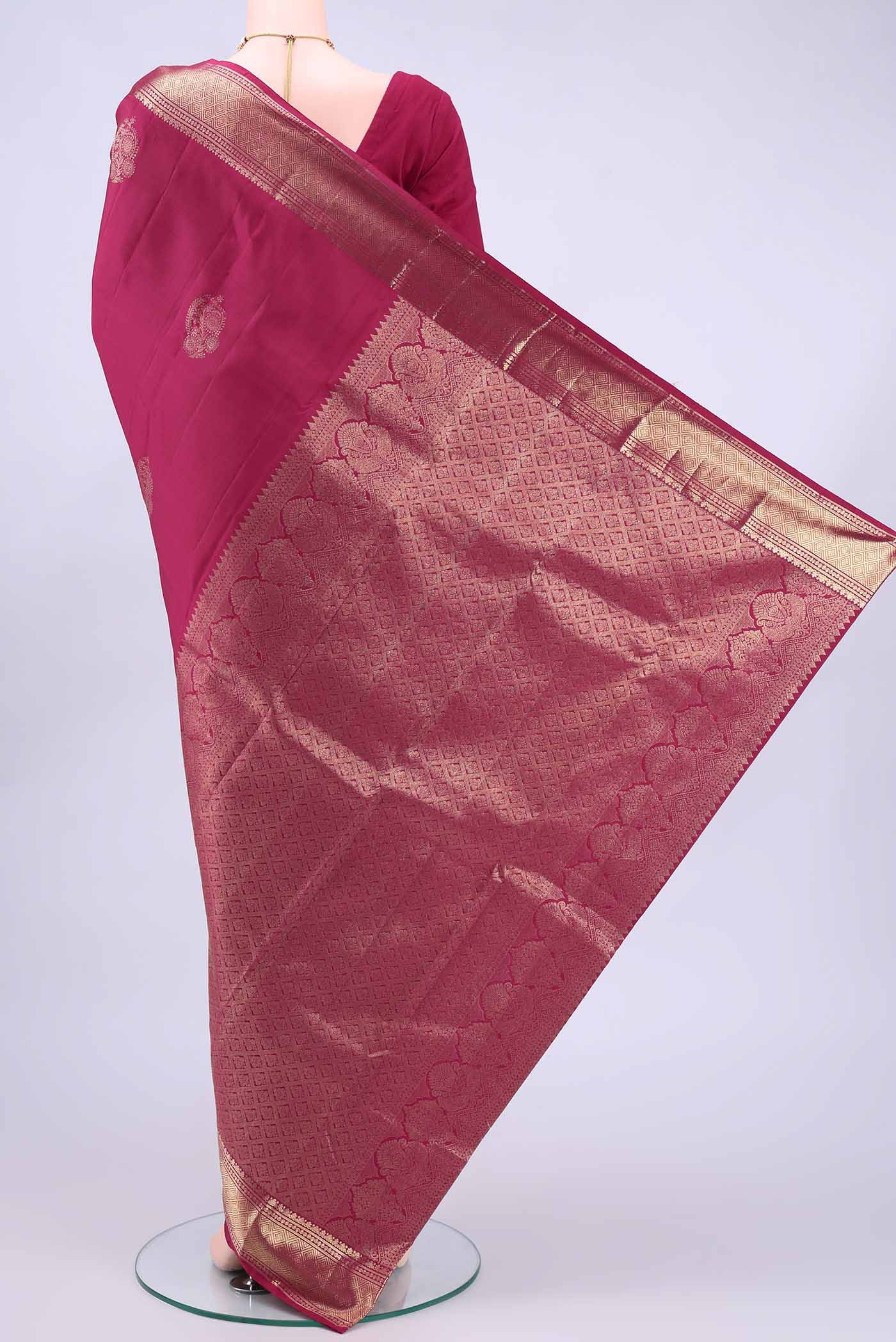 pallu body